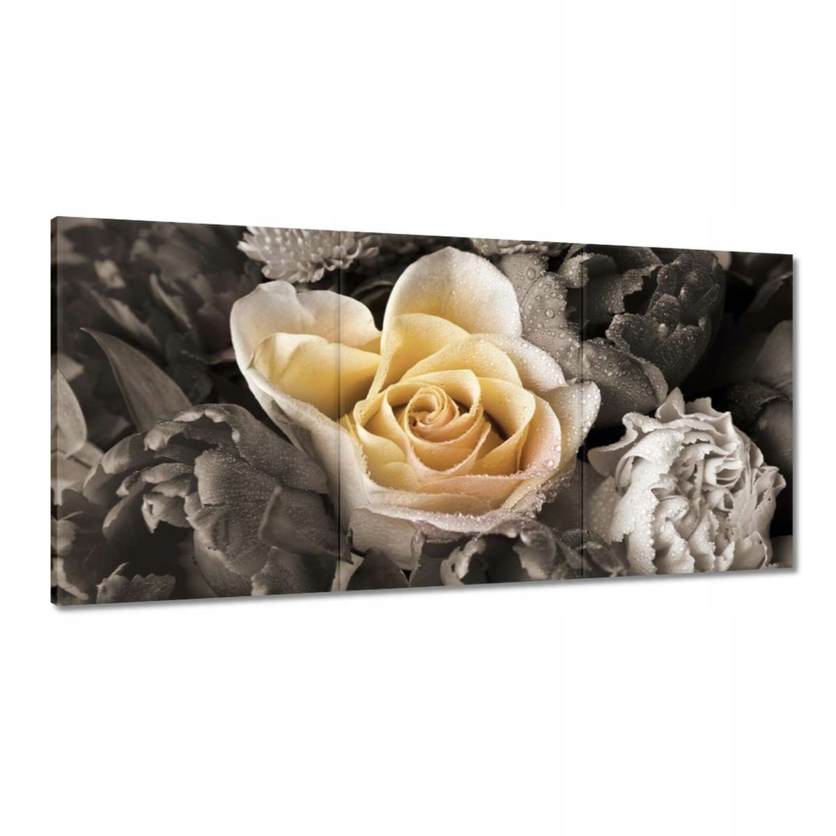 Obrazy 120x60 Čajová růže