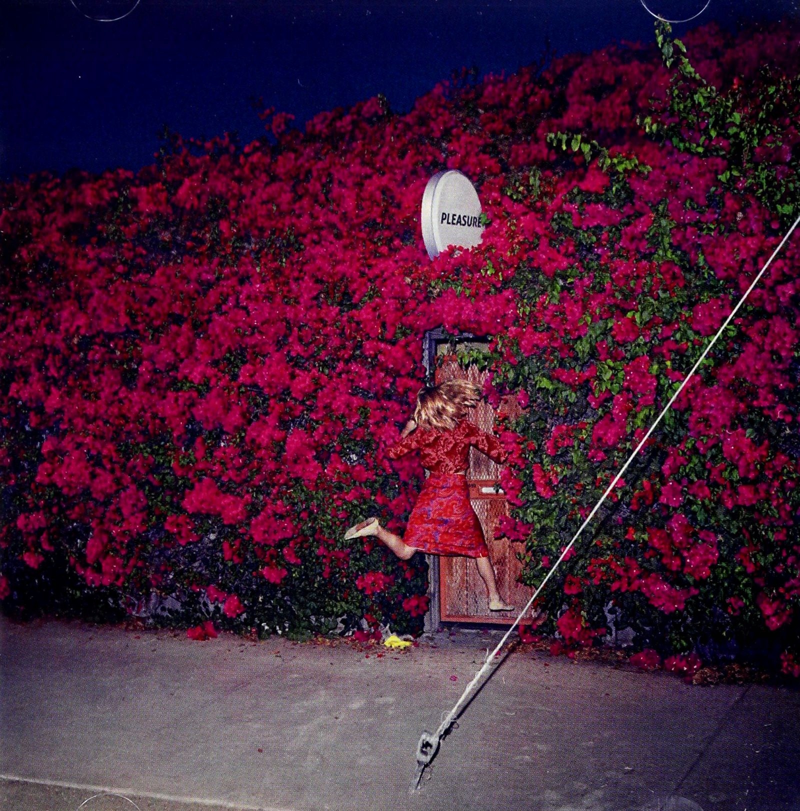 Feist: Pleasure (pl) [CD]