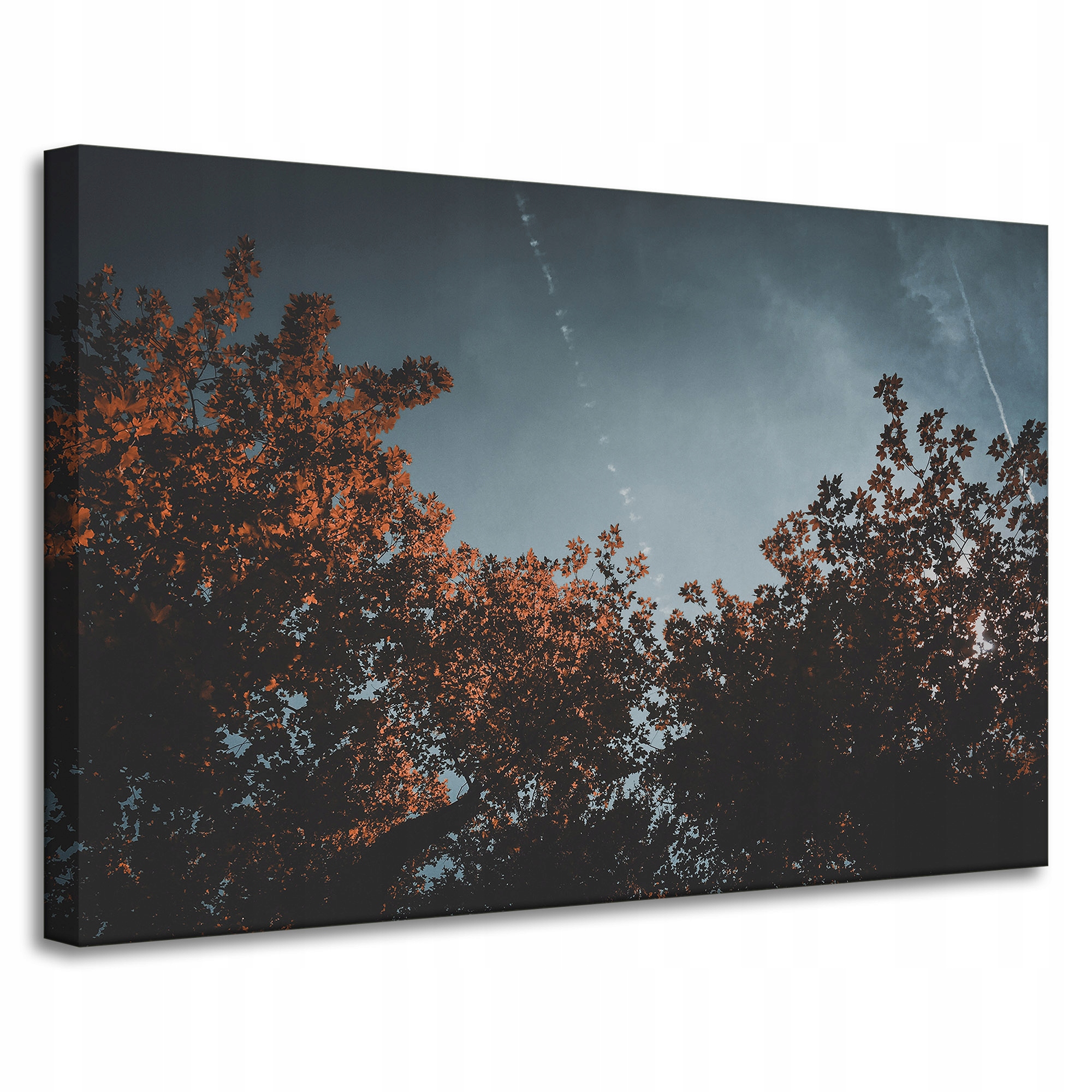 Obraz Canvas Příroda Podzimní koruny stromů 90x60 cm