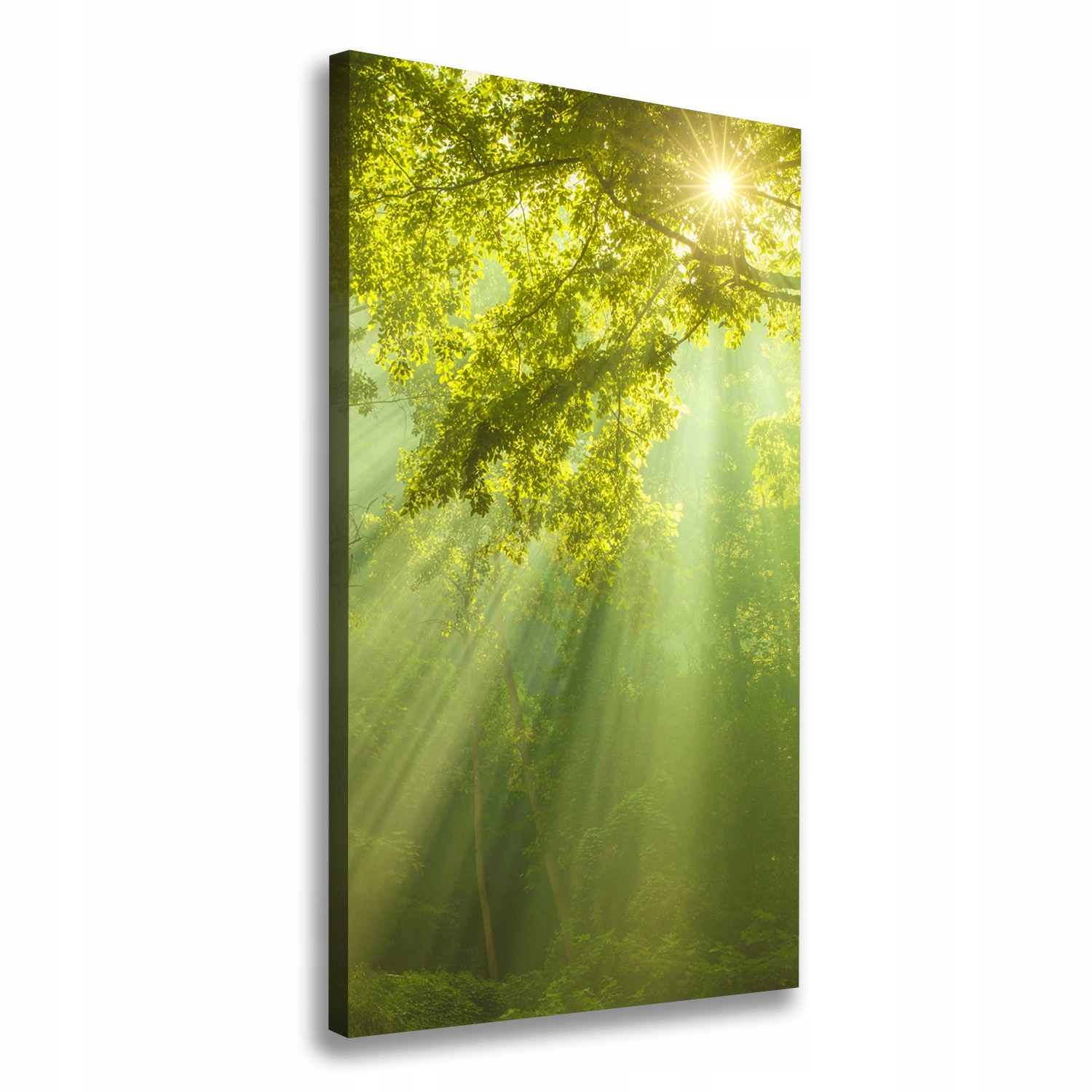 

Foto obraz na płótnie Słońce w lesie 60x120 cm