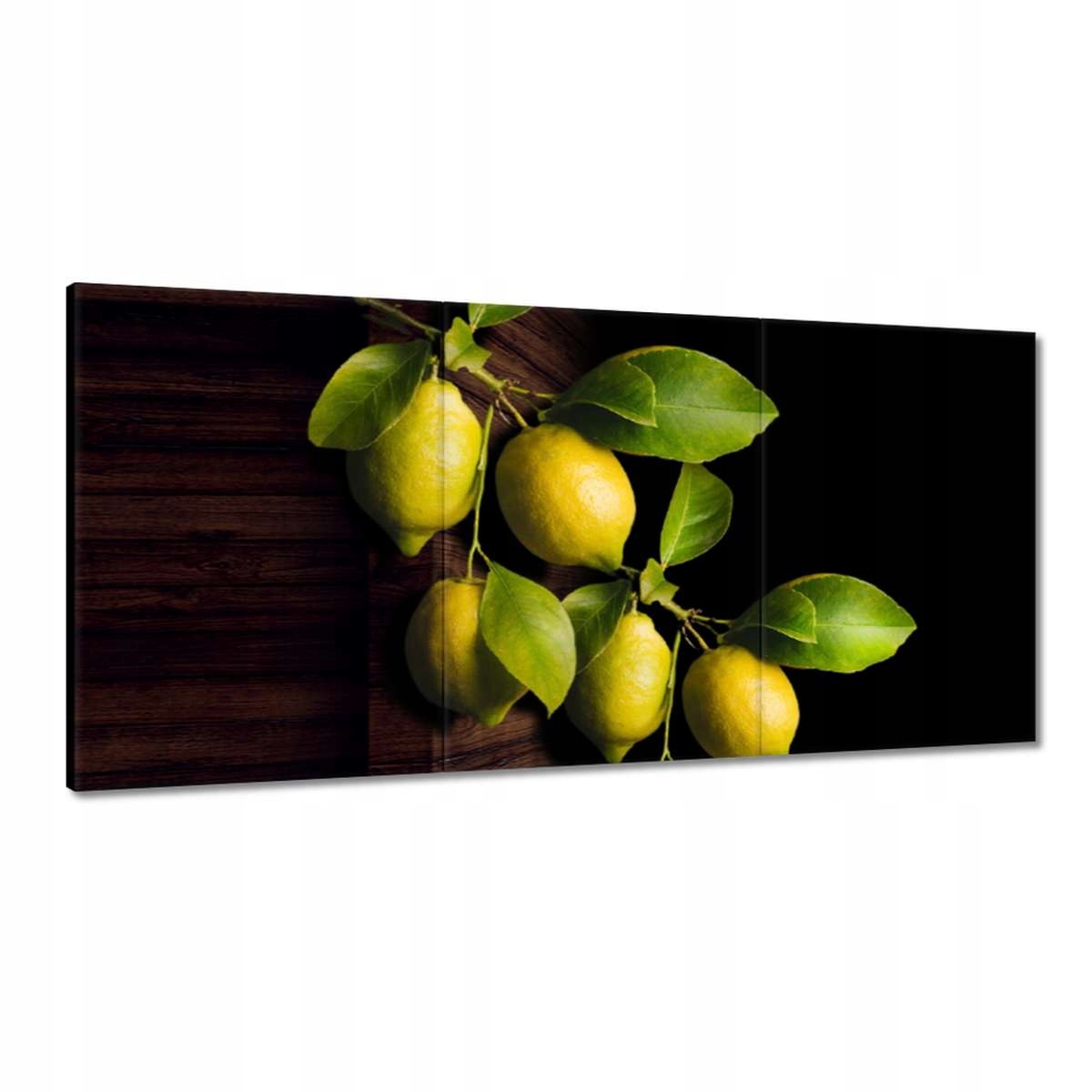 Obrazy 180x90 Prírodný citrón Citrusy