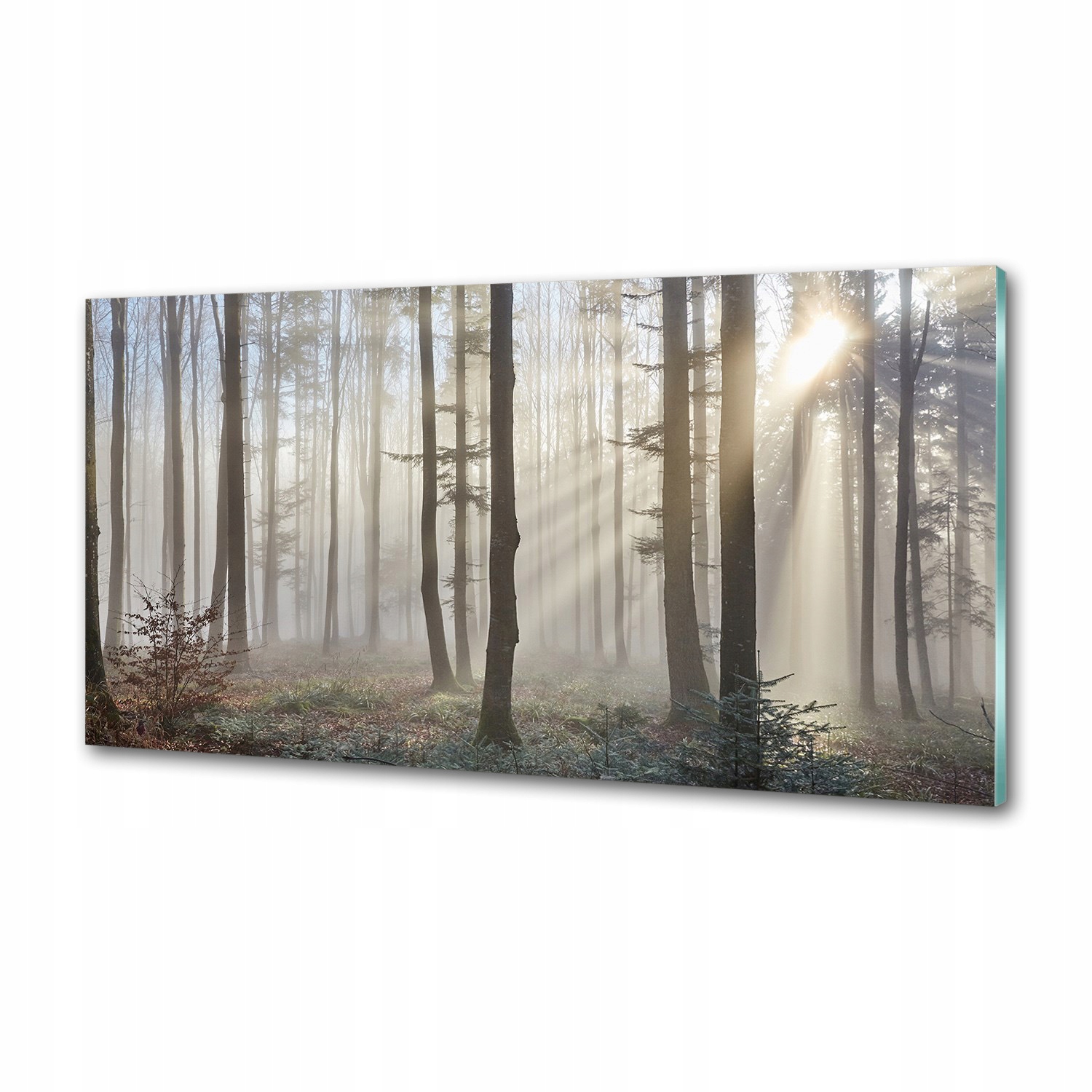 Panel dekor sklo Hmla v lese 120x60 cm Lepidlo