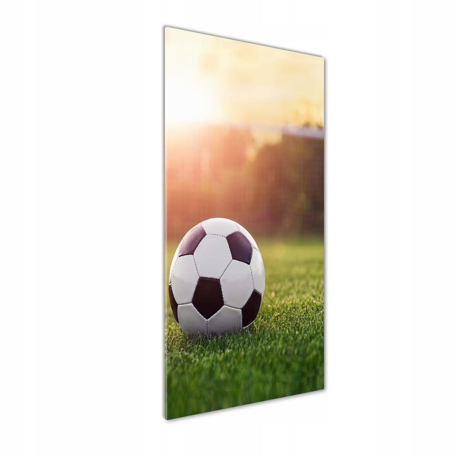 

Nowoczesny fotoobraz akrylowy Piłka nożna 50x125cm