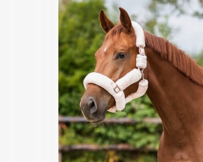 Kantar Alaska sztuczne futerko nie obcierający Qhp pudrowy róż Full