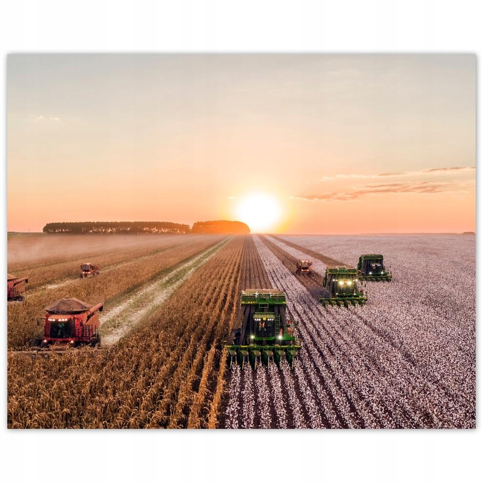 

Plakat 50x40 Żniwa Rolnictwo Kombajny