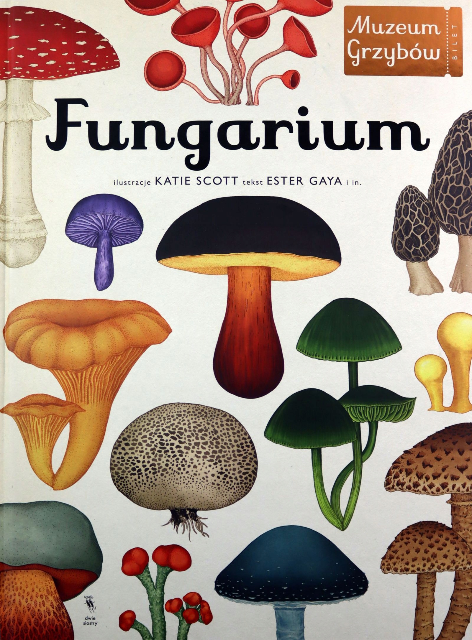 Fungarium. Muzeum Grzybów [książka]-Zdjęcie-0