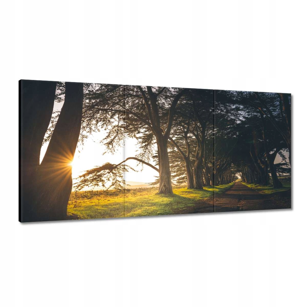Obrazy 120x60 Krajina Pohled
