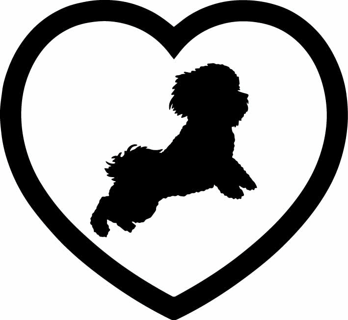 

Naklejki na auto Shih Tzu Piesek Miłość