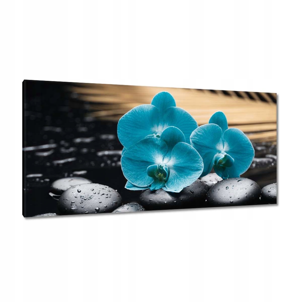 Obrazy 115x55 Tyrkysový orchidej Květina