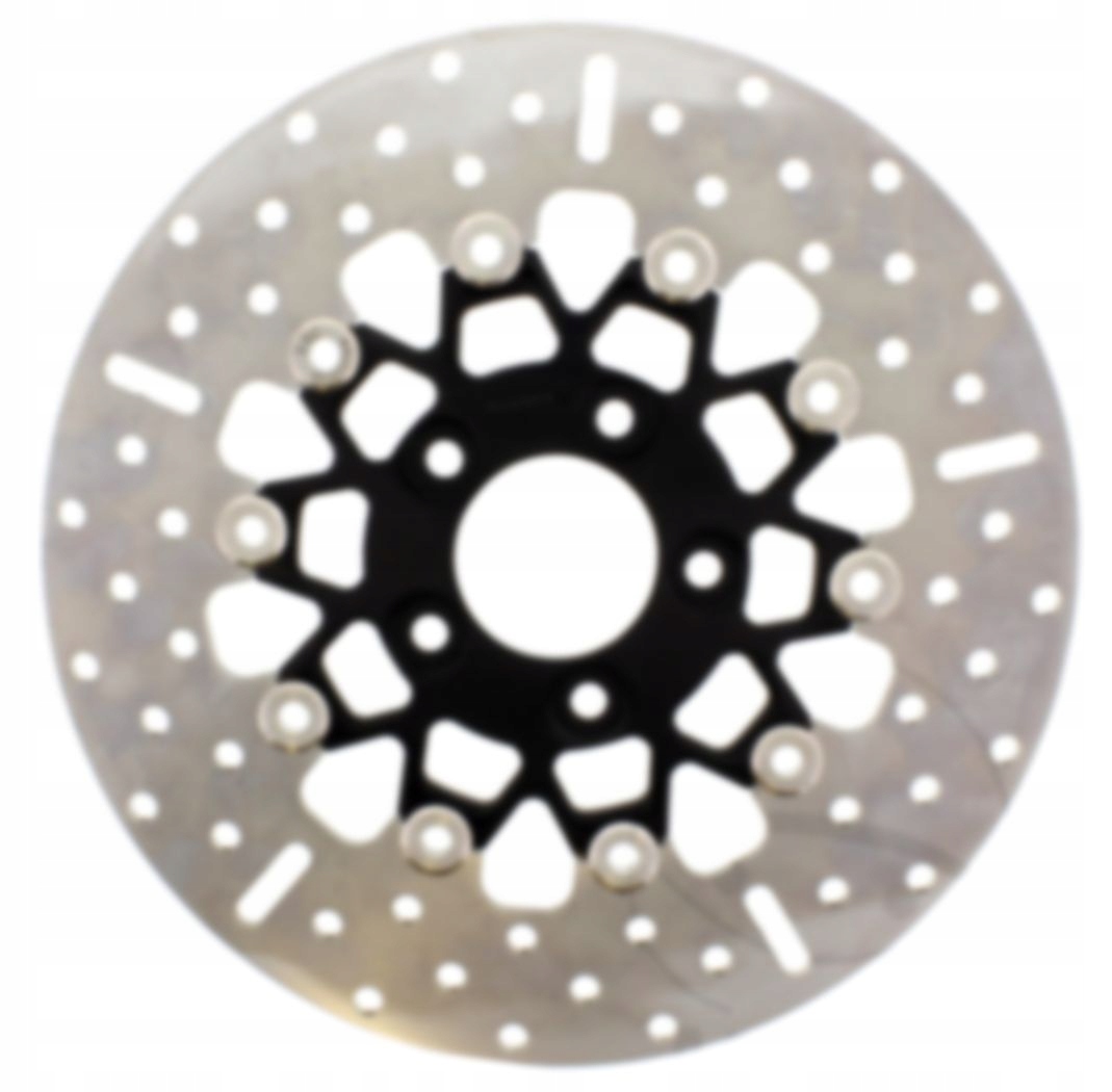 Zadní Brzdový Kotouč Harley Davidson XL 883 Sportster Custom Iron Low