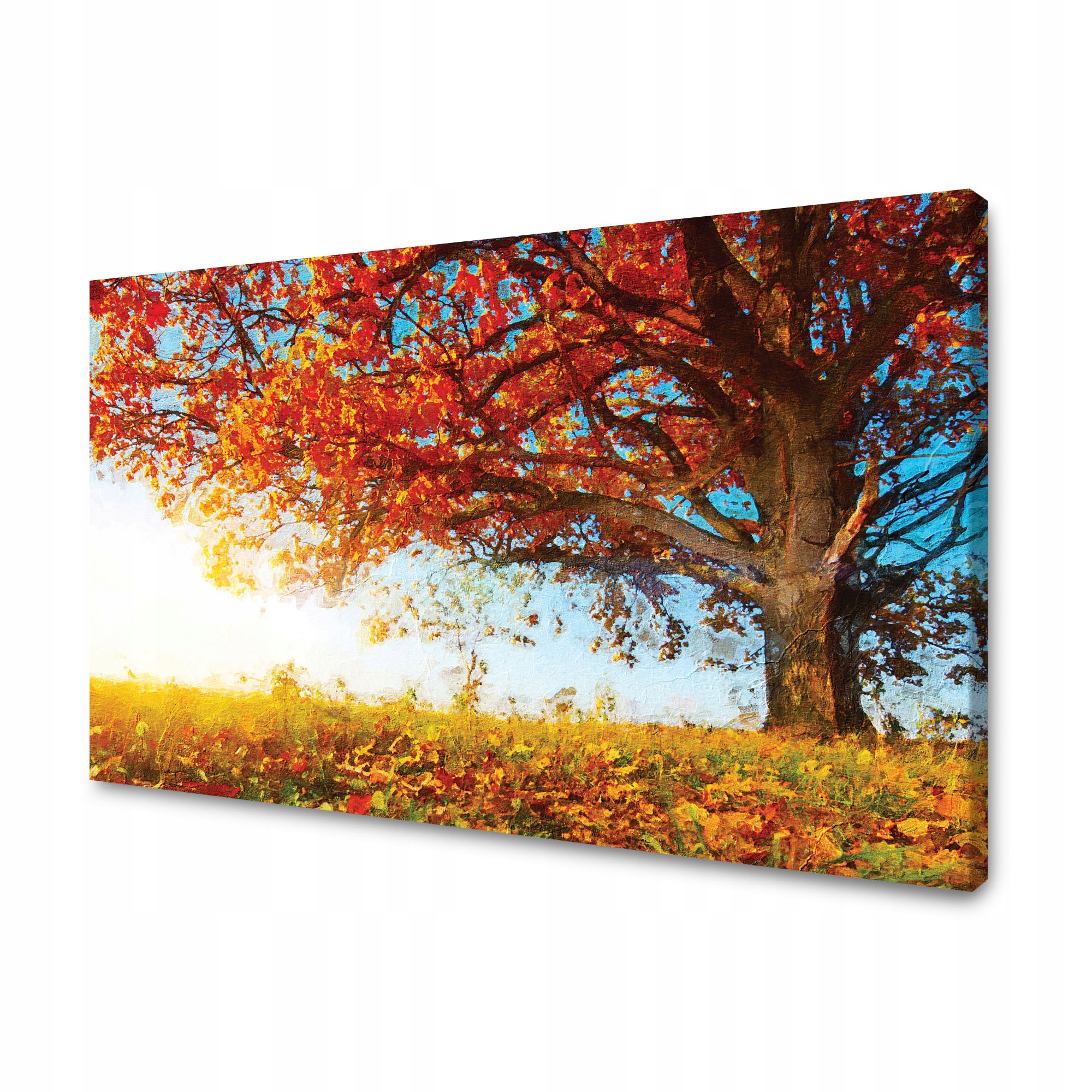Obraz na plátně Krásný Strom Červené Listy Podzim 100x60 cm