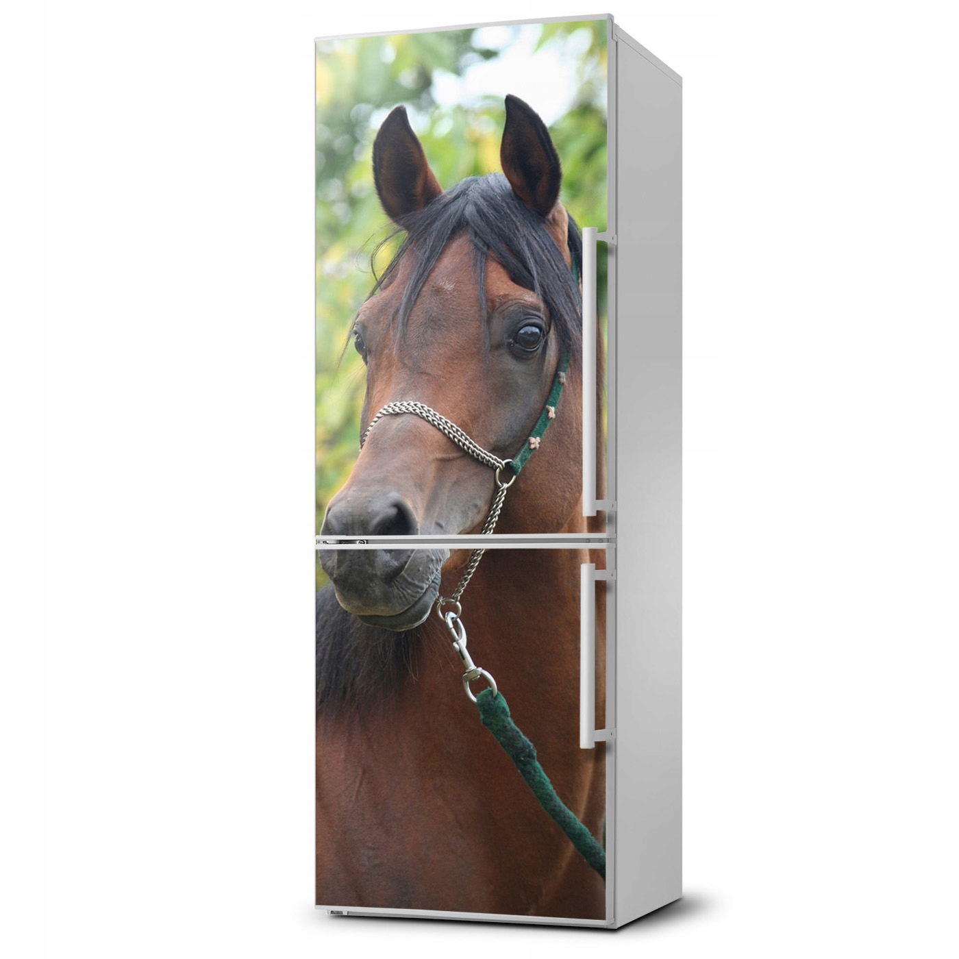 

Naklejka Magnes na lodówkę Portret konia 60x180