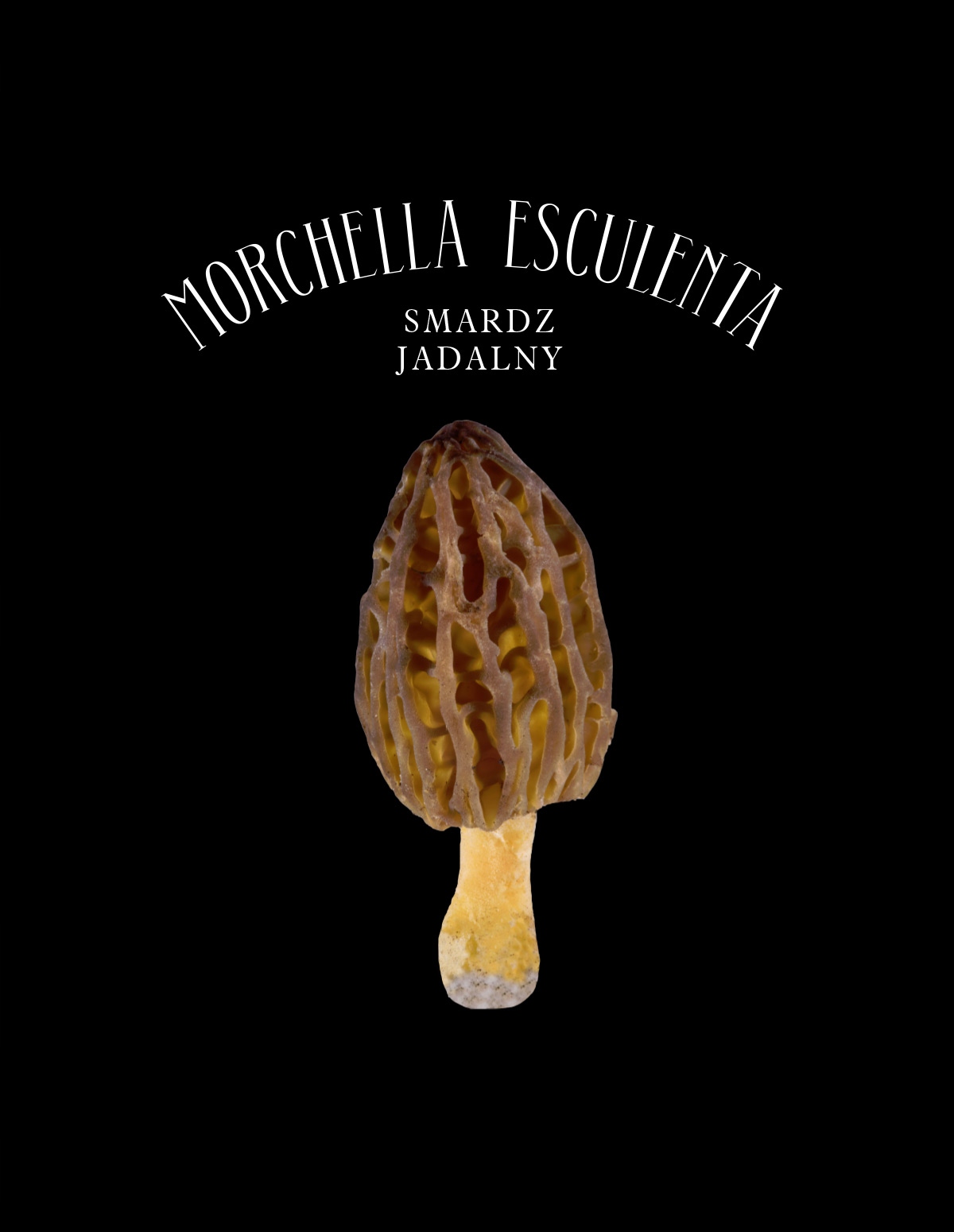 BLUZA Z KAPTUREM - SMARDZ M zielony Rozmiar M