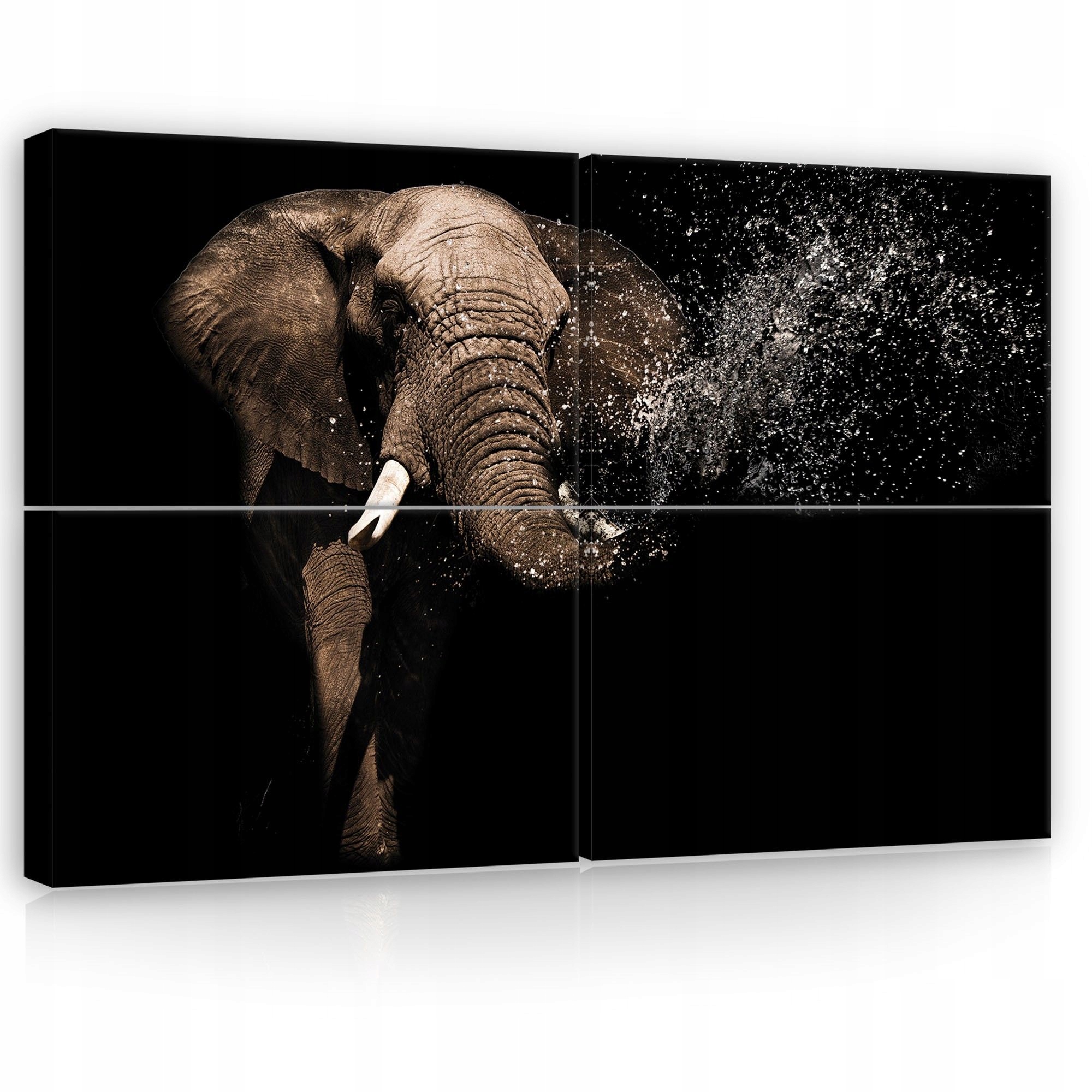 Obraz 120x80 Slon striekajúca voda dynamika sila divoká príroda energia pohyb