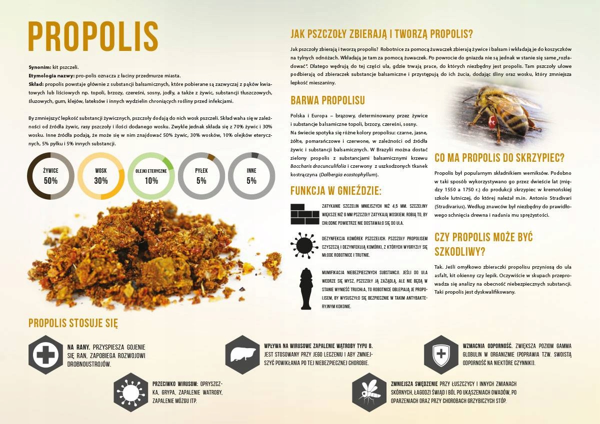 

Naklejka na tablicę edukacyjną rozm. 42x29,5cm