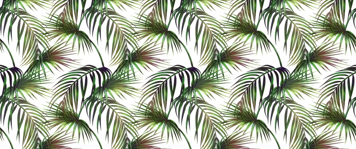 

Tapeta Flizelinowa Tropikalne liście - 250x104