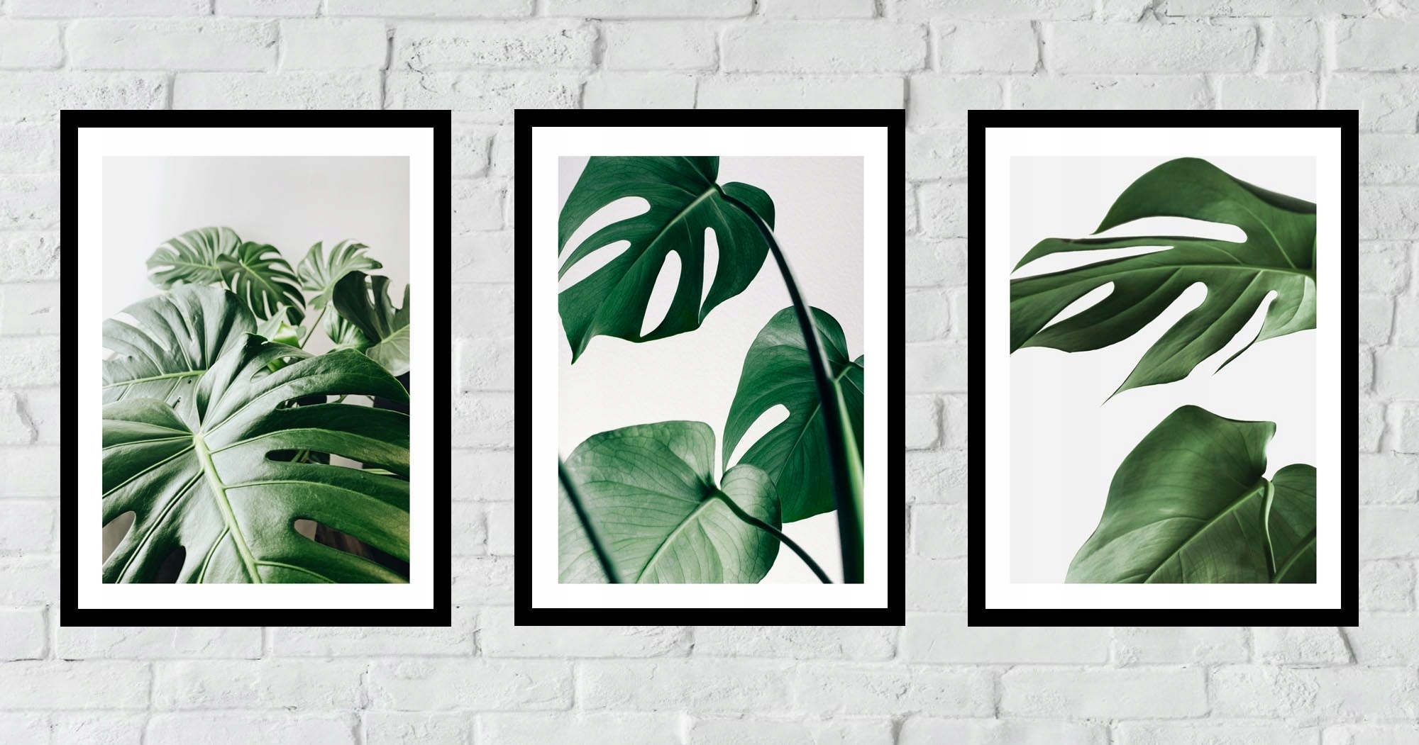 30x40 ZESTAW OBRAZY W RAMIE PLAKATY RAMKA MONSTERA ROŚLINA BOHO NATURA Marka Posterlove
