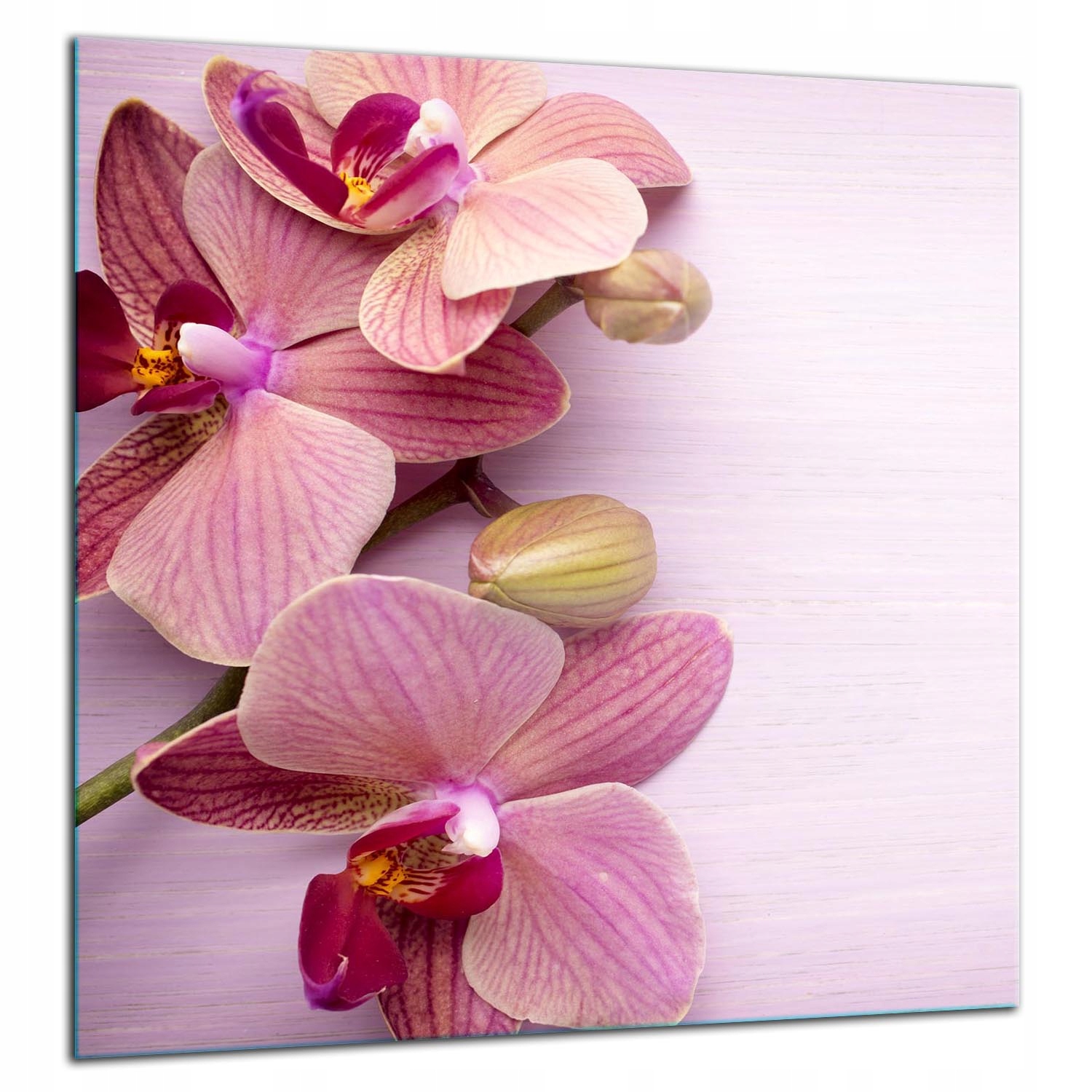 Skleněná Ochranná Deska Panel Lepidlo 60x65 Květiny