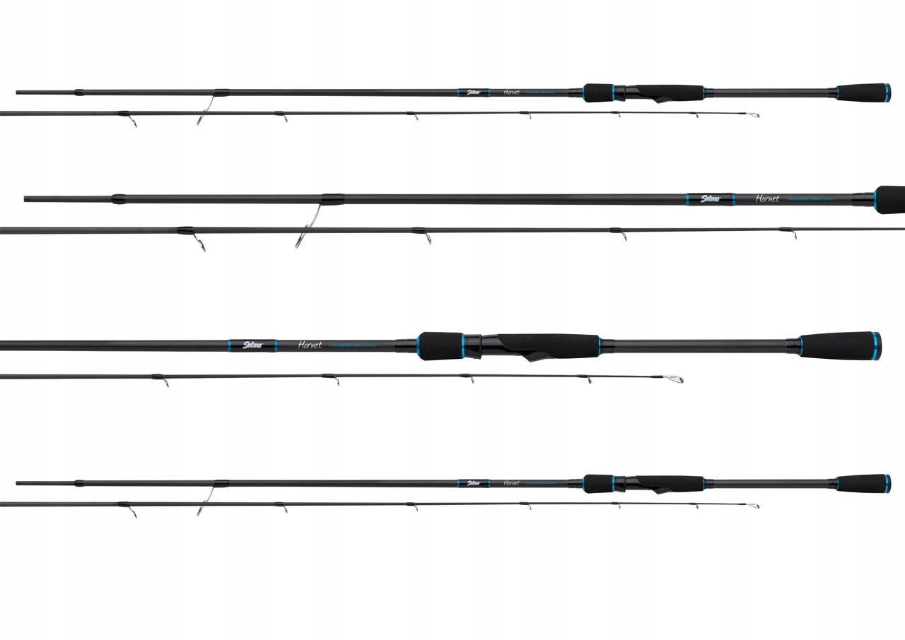 Wędka Salmo Hornet Pro Heavy Rod 2,40m 20-60g