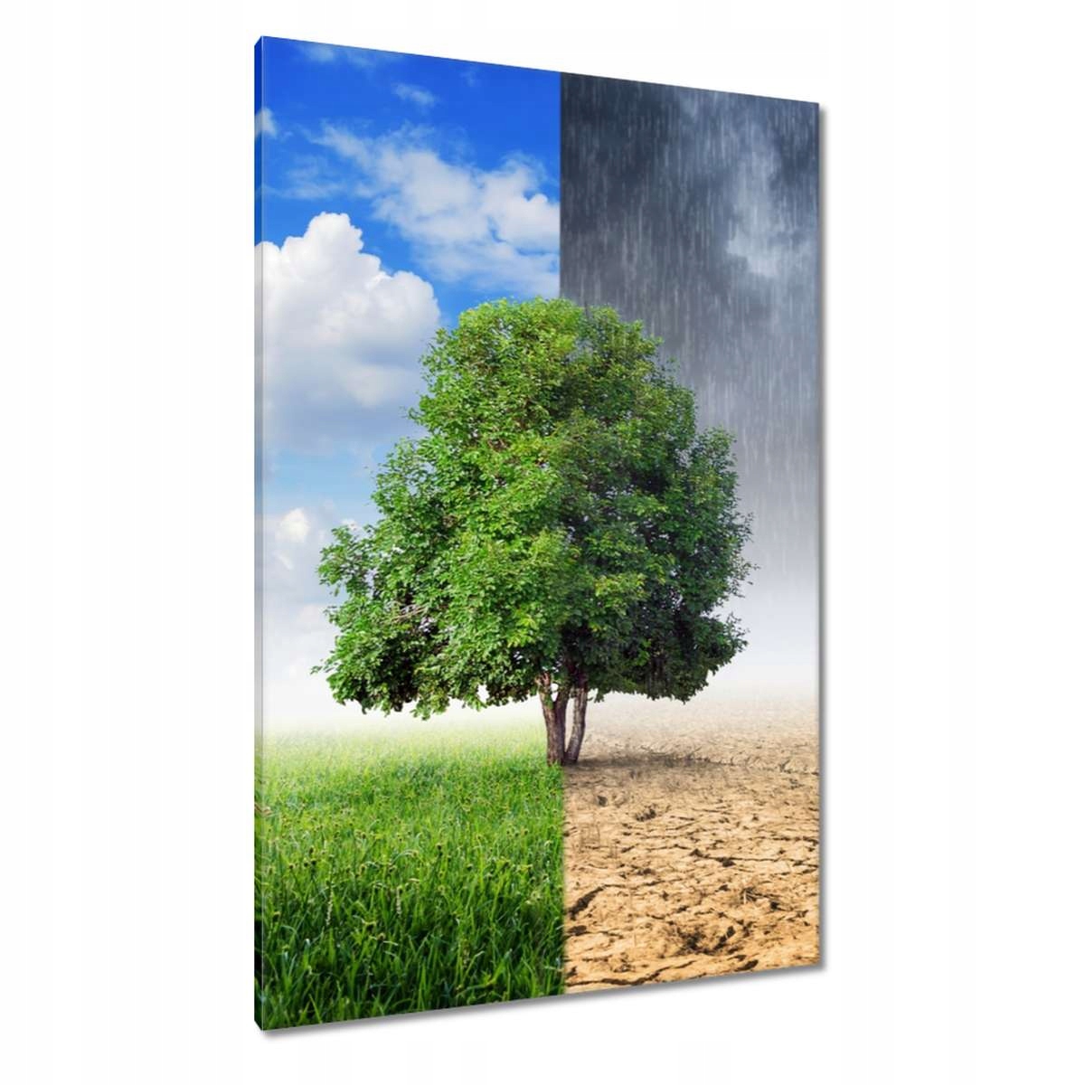 Obrazy 80x120 Období dešťů