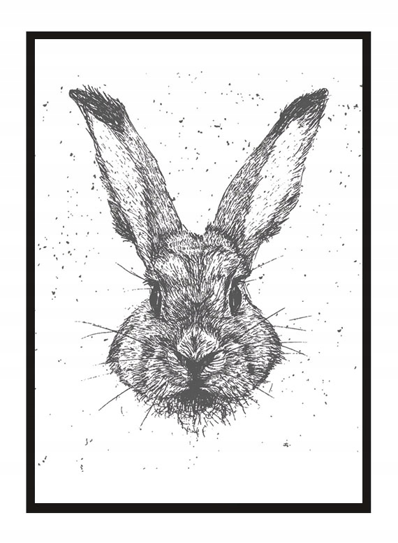 

Obraz Plakat W Ramie 33x43 cm Zając PD318