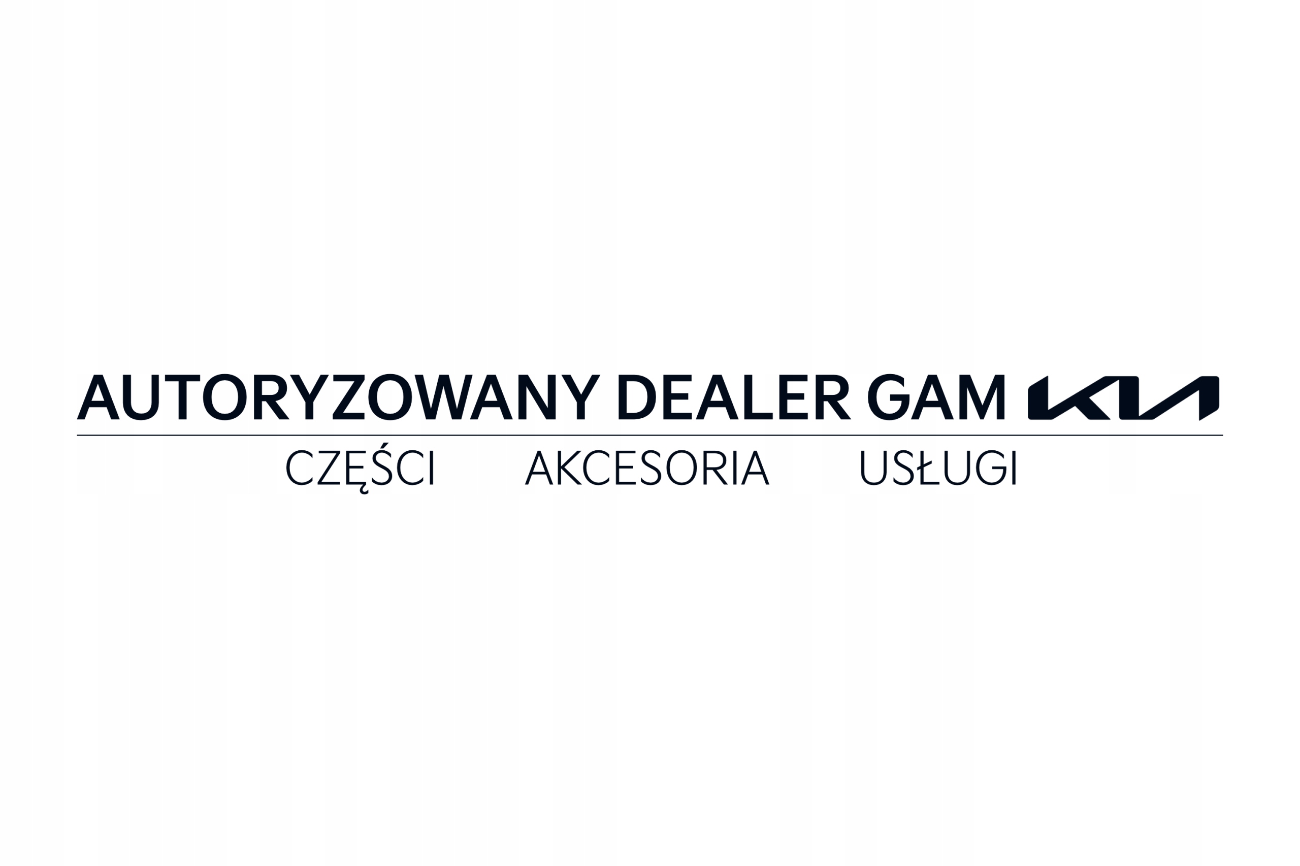 Męski t-shirt koszulka Kia EV9 rozmiar L Marka Inny