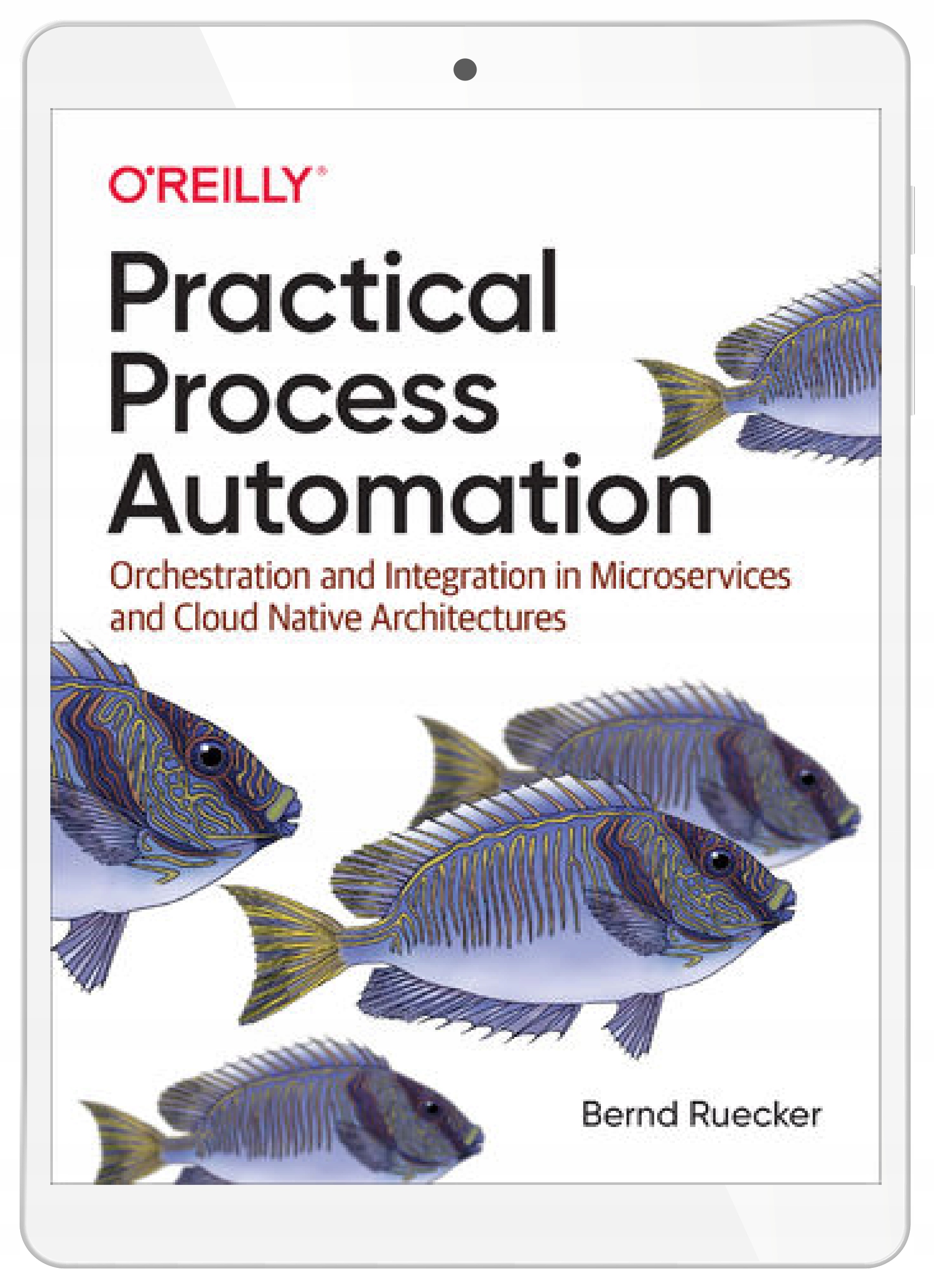 Practical Process Automation
