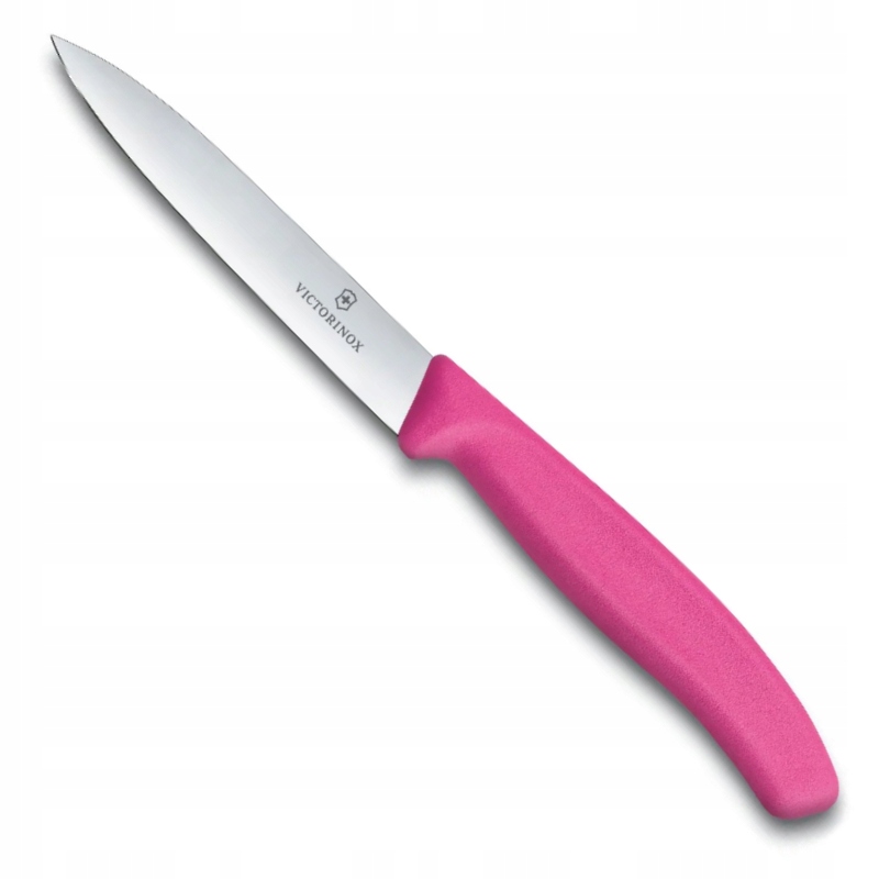 

Victorinox Nóż Do Warzyw Owoców 10 CM 6.7706.L115
