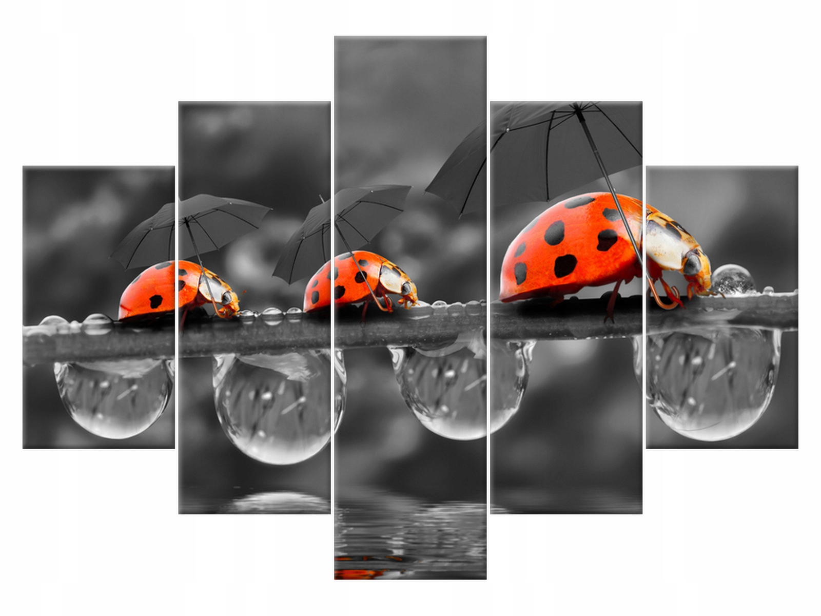 

Obraz Tryptyk Spacerek 150x105 Biedronka 2059A_5H