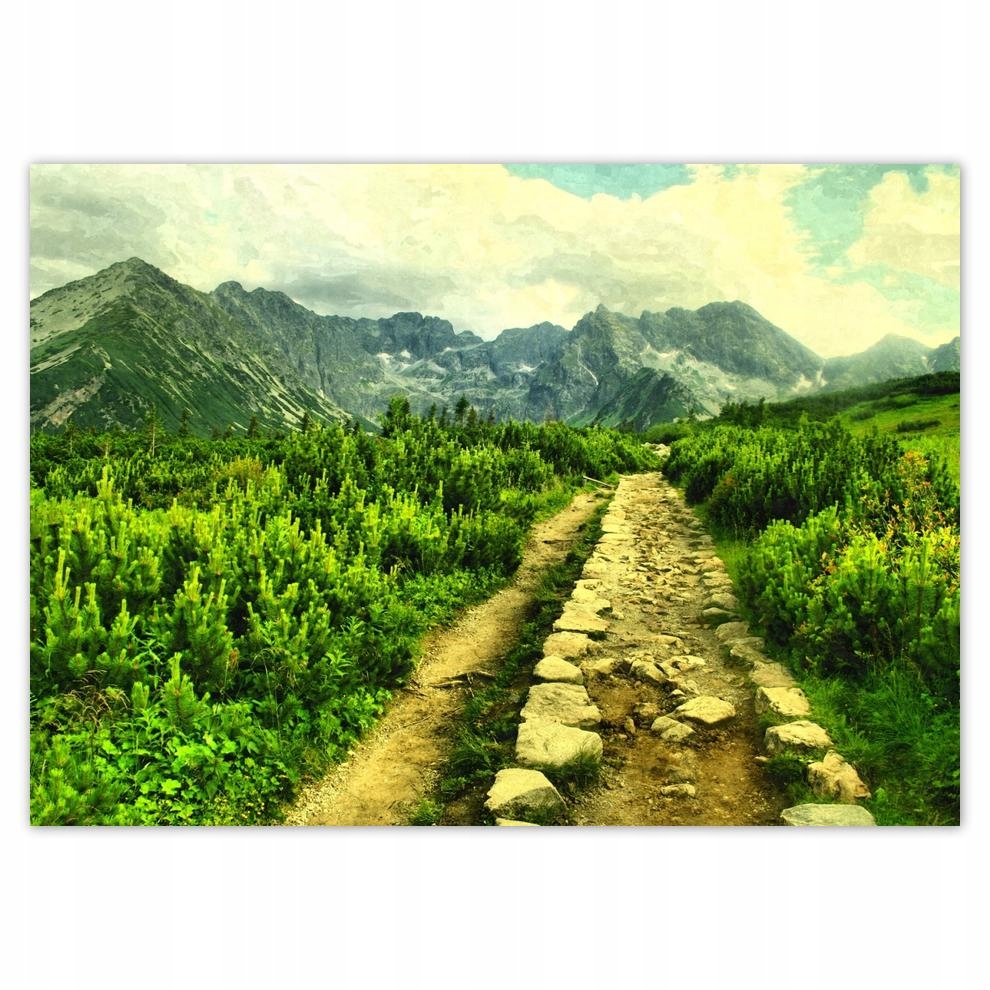 

Plakaty 70x50 Słoneczny dzień w Tatrach