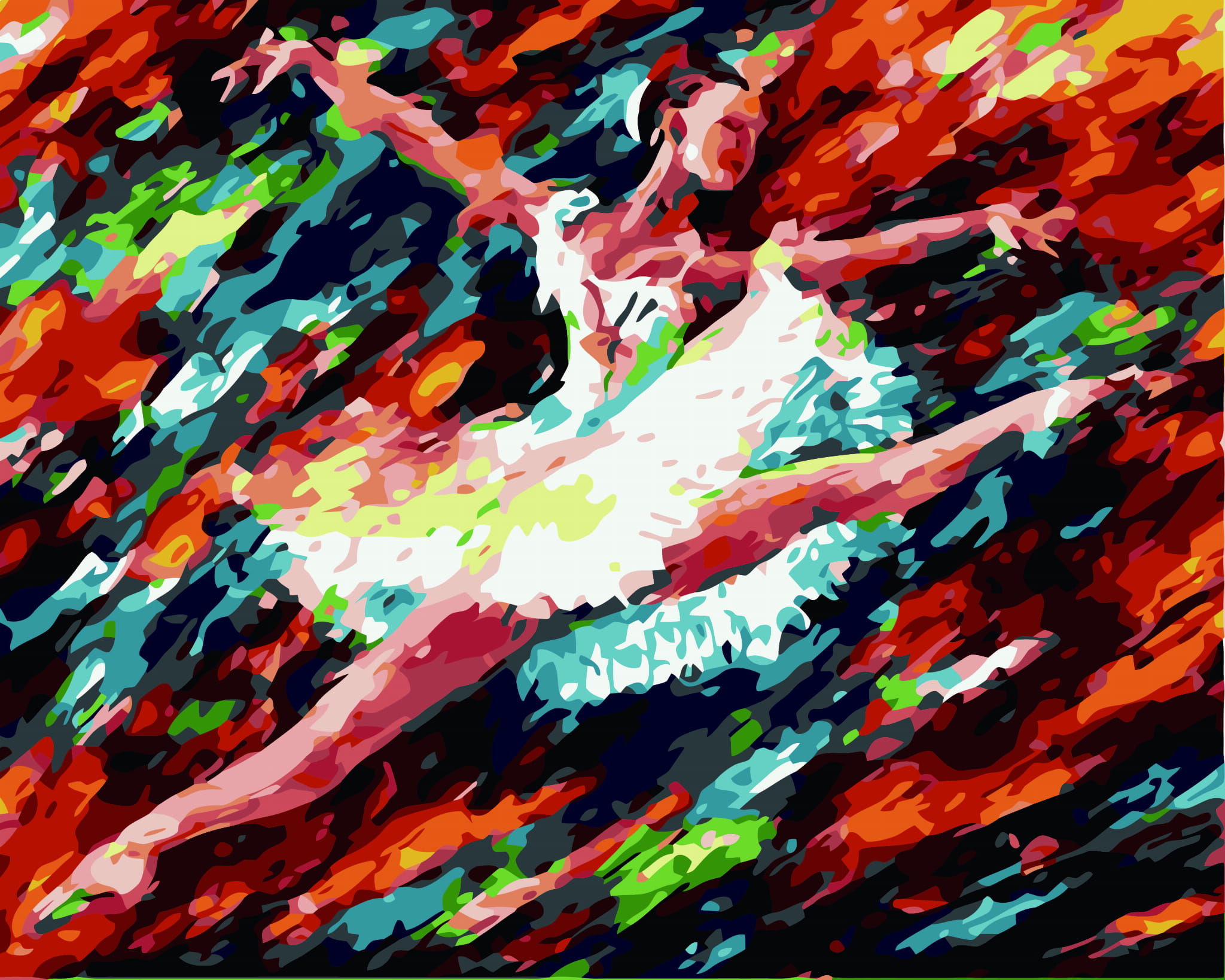 Malování podle čísel Let baleríny 40x50cm