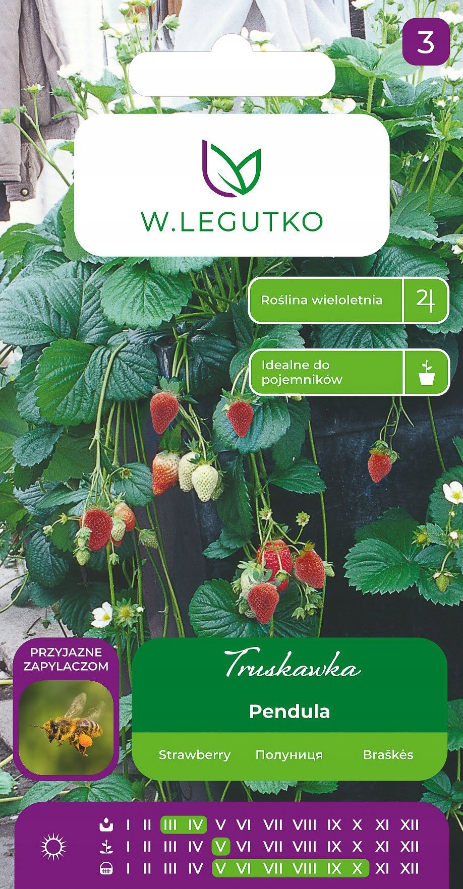 Truskawka Pendula nasiona 0,01g LEGUTKO 40