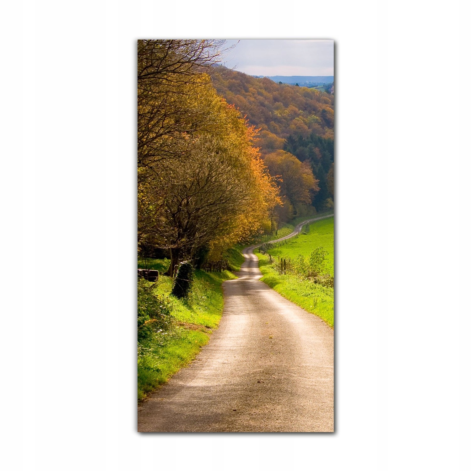 

Foto-obraz na szkle na ścianę 70x140 Jesienny las