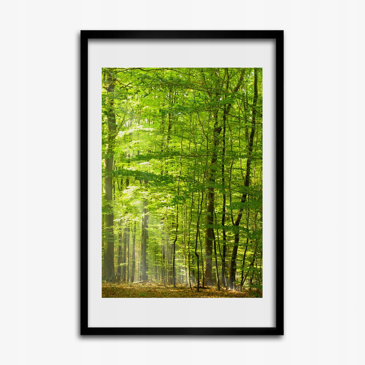 Tištěný obraz s rámečkem mdf Bukový les 40x60 cm
