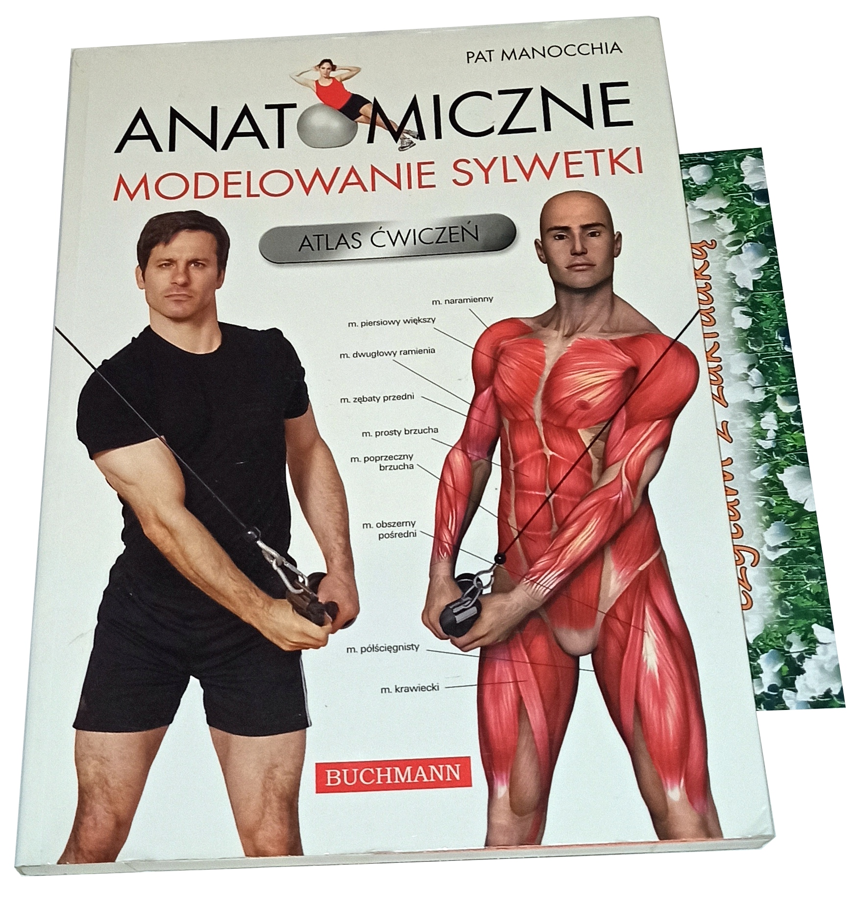 ANATOMICZNE MODELOWANIE SYLWETKI ATLAS ĆWICZEŃ
