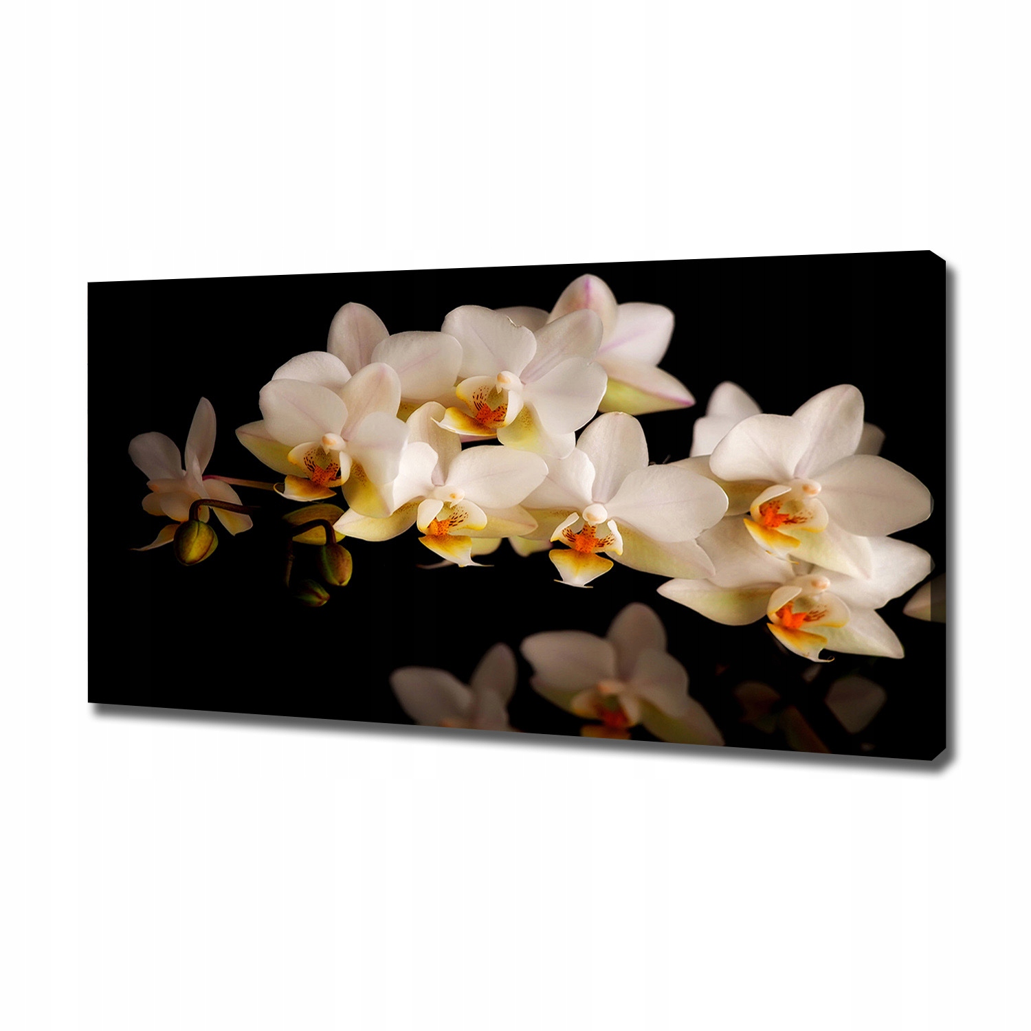 

Foto obraz canvas na ścianę Orchidea 120x60 cm