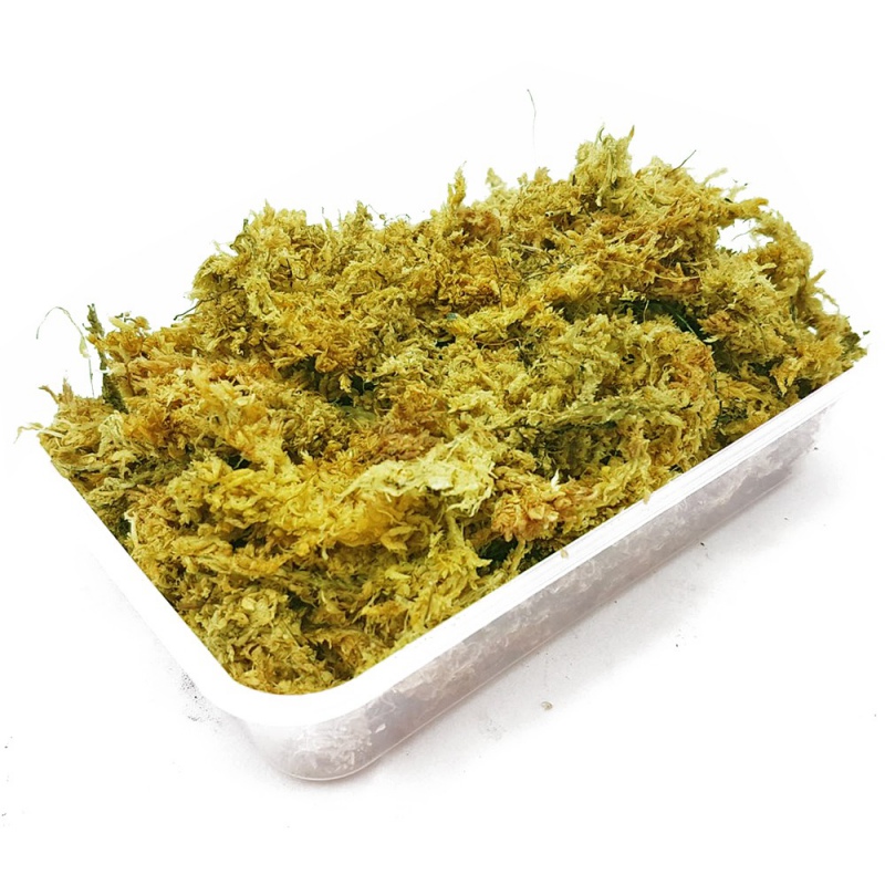 

Moss Podłoże Płazy Gady Mech Torfowiec Terrarium