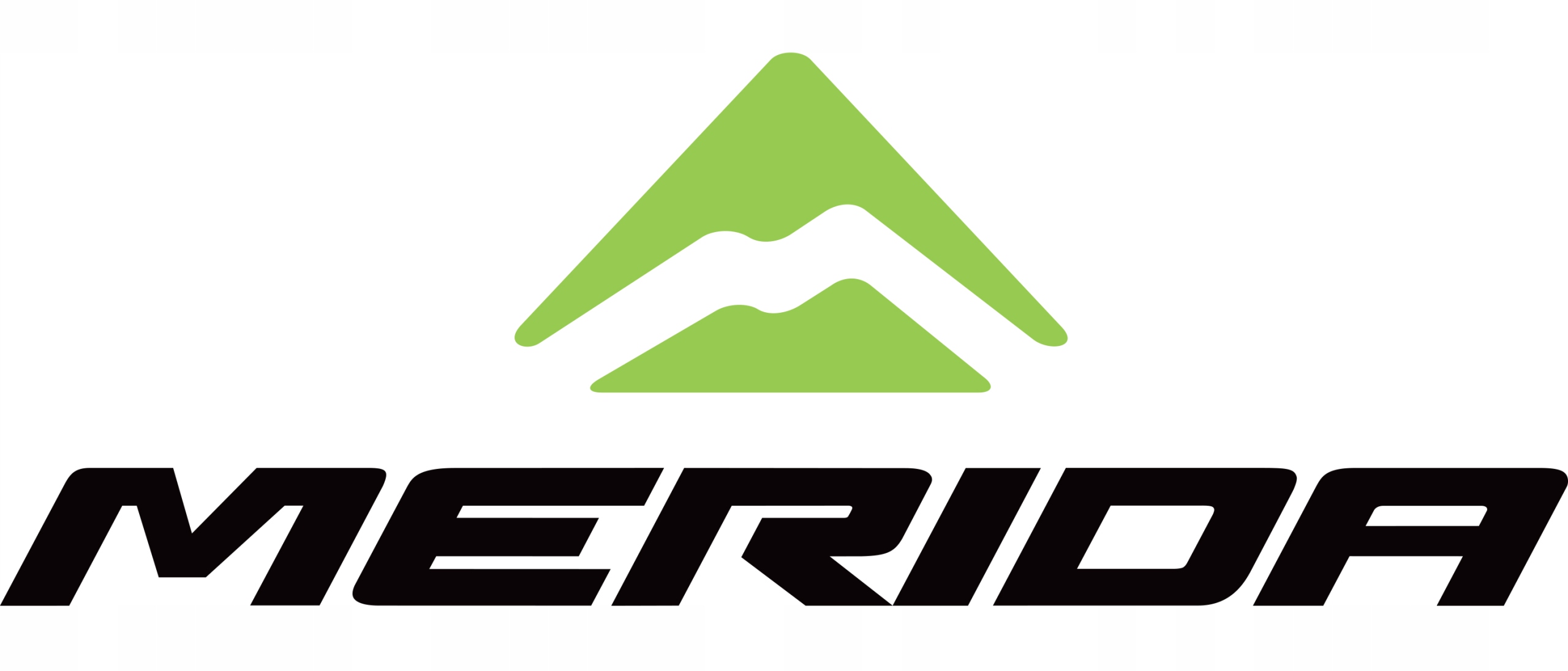 Гірський велосипед ендуро MERIDA ONE-SIXTY 500 MID(17) RS Domain