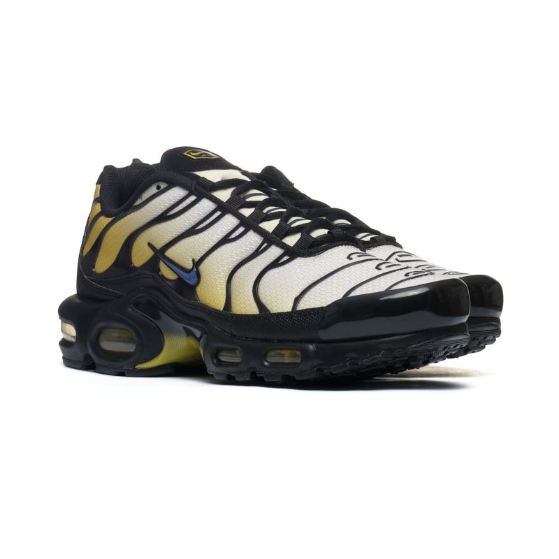 Nike Air Max Plus DM0032-023 45