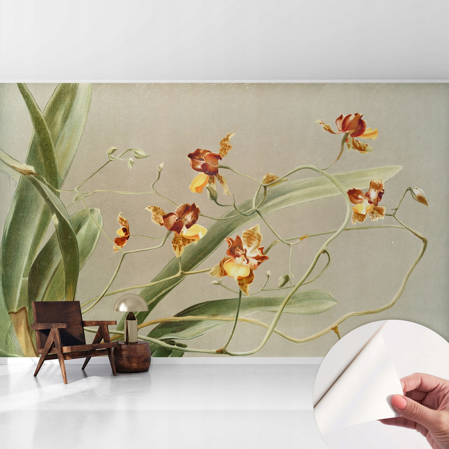 Samolepicí stylová dekorativní fototapeta Klasické orchideje 416 x 254 cm