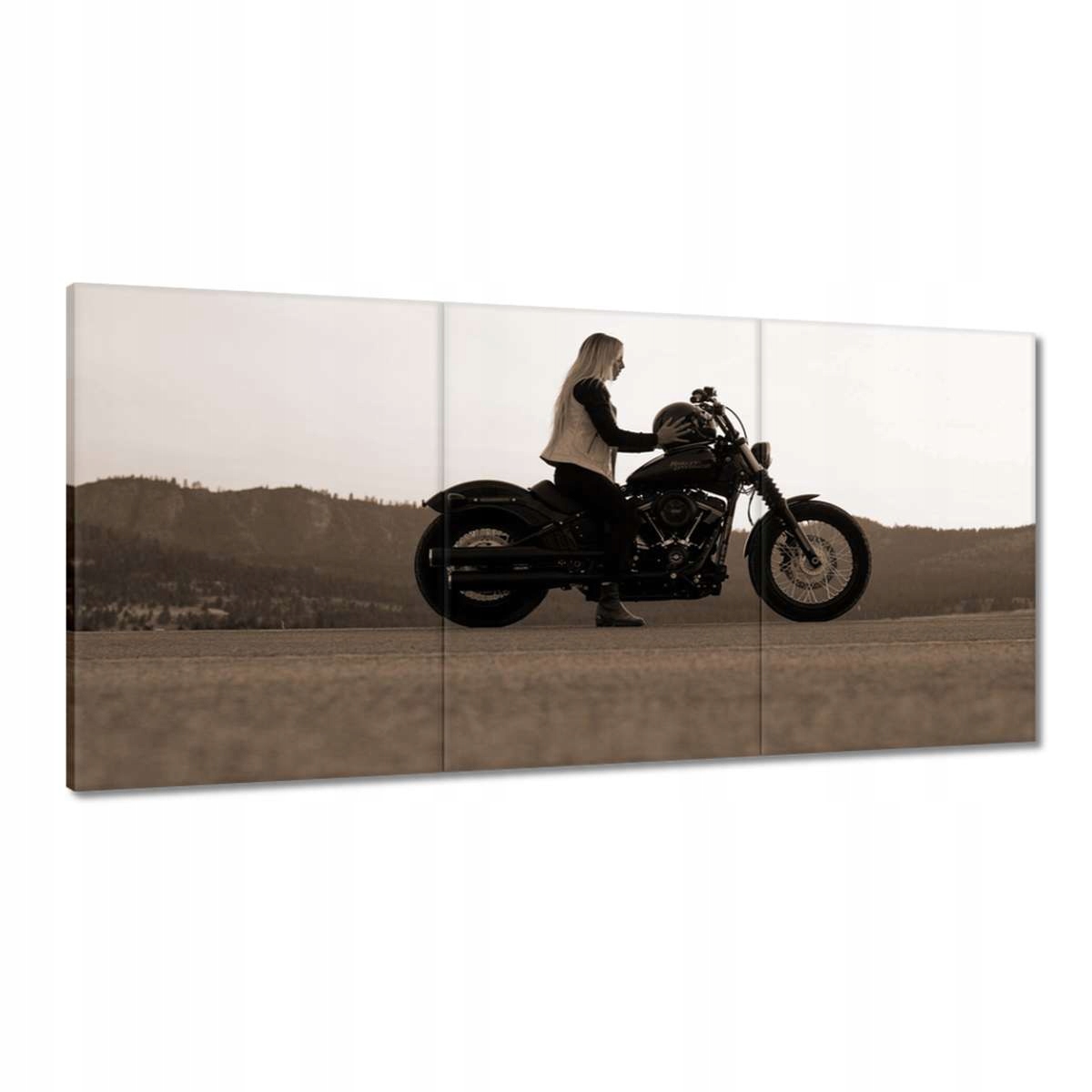 Obrazy 180x90 Harley Davidson Motocykel