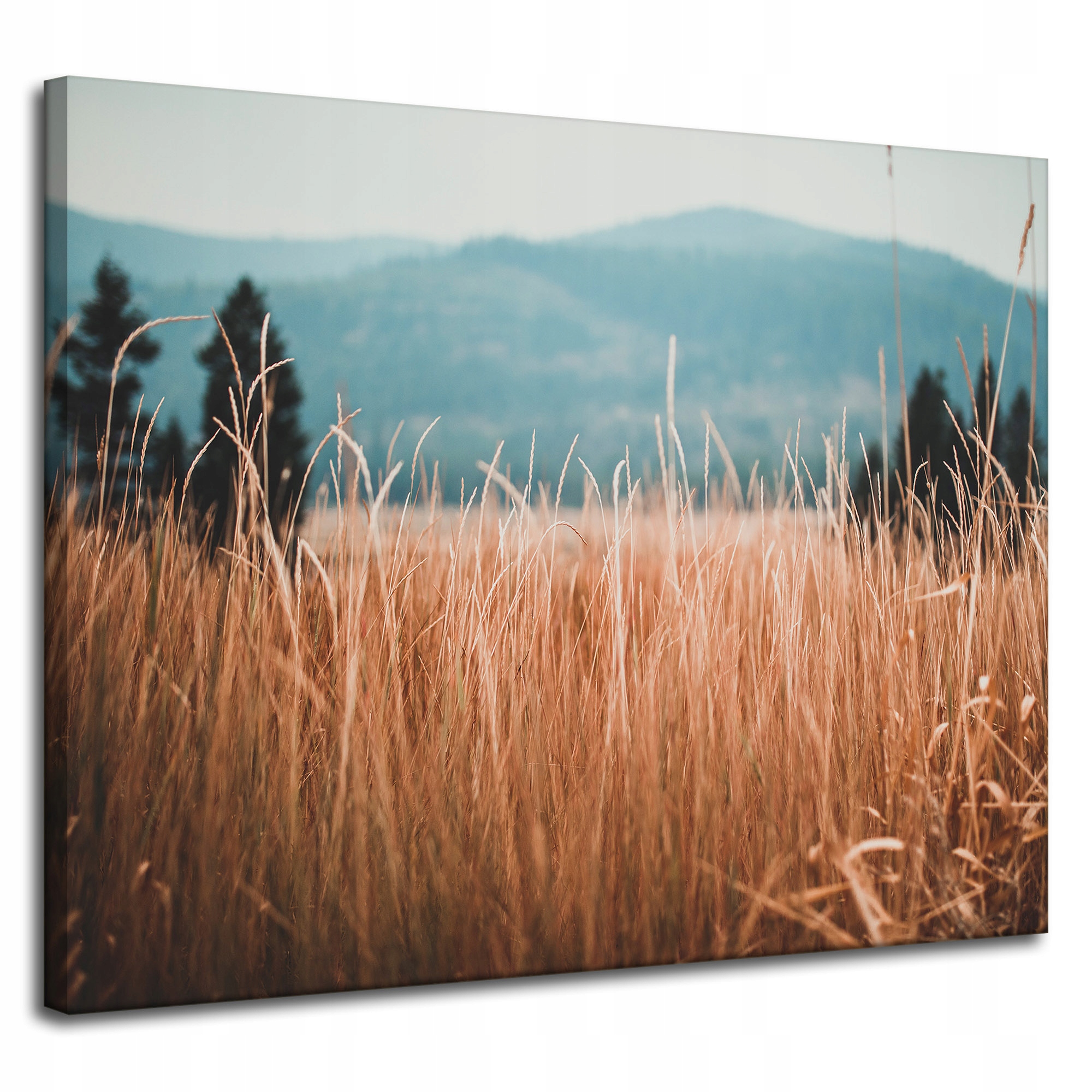Obrazy na plátně Příroda Stébla trávy Hory 100x80