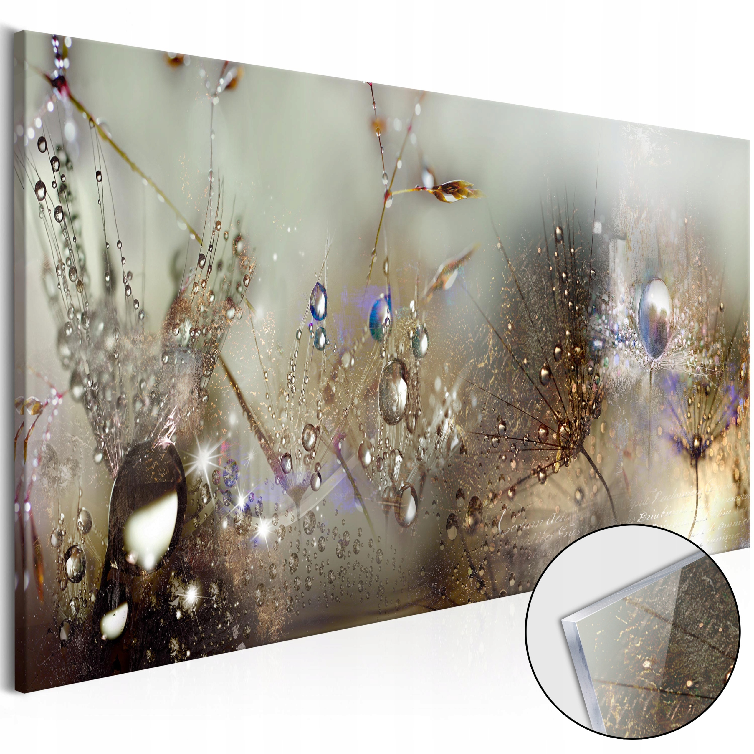 Obraz Na Akrylovém Skle Dmychadla Rosa Příroda Moderní Koupelna 135x45
