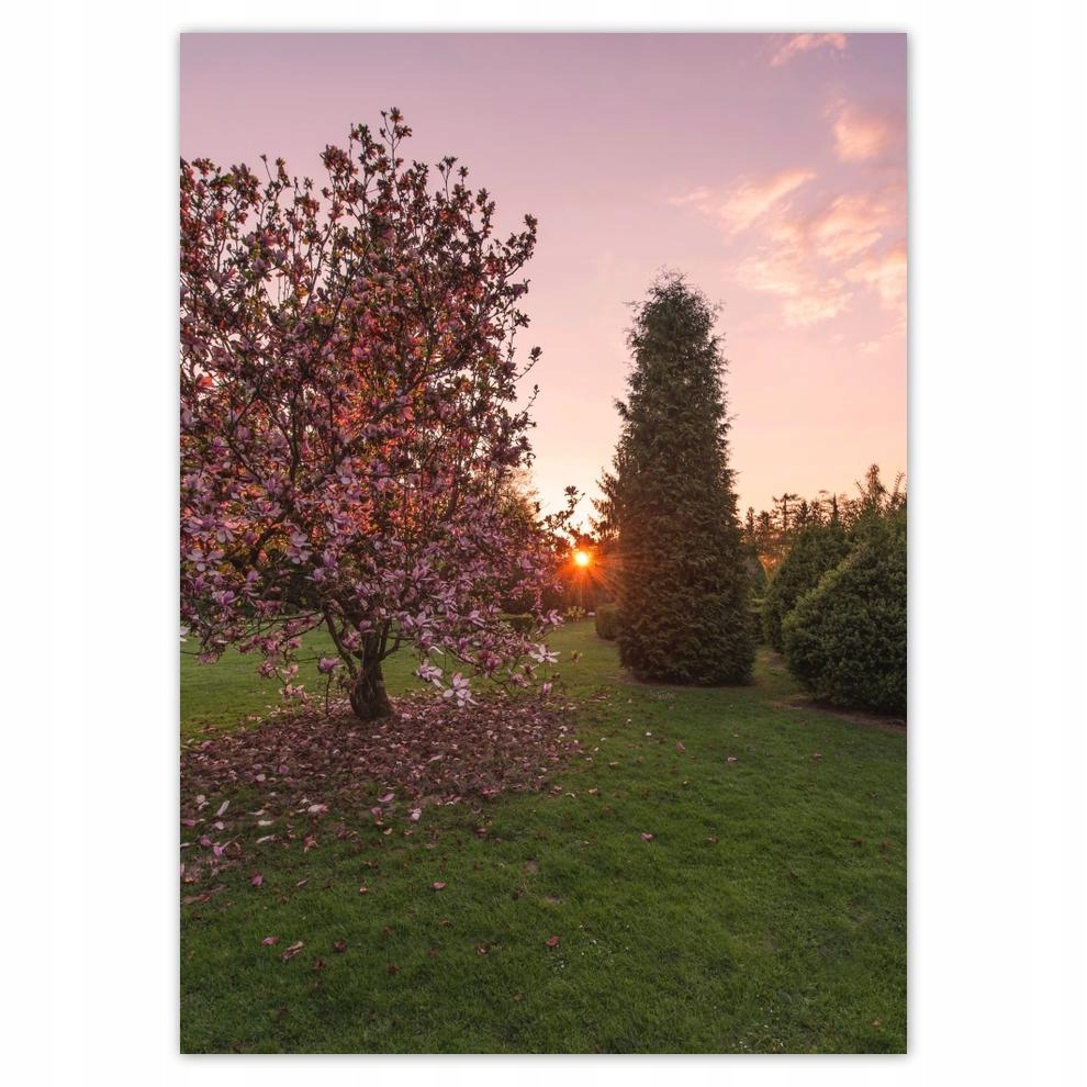 

Naklejki 50x70 Widok Pejzaż Krajobraz