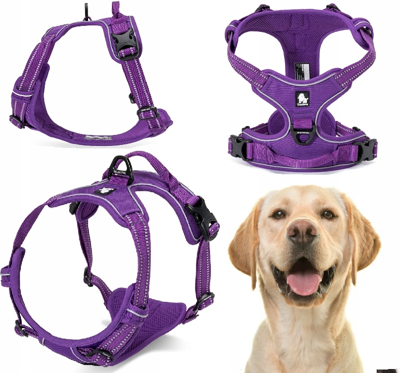 Levně Obojky Pro Psa Truelove Easy Walk Silné, Odolné, Reflexní, Fialové