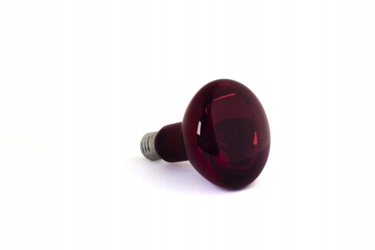 

Reptech Żarówka Halogen Podczerwień Nocna 28W