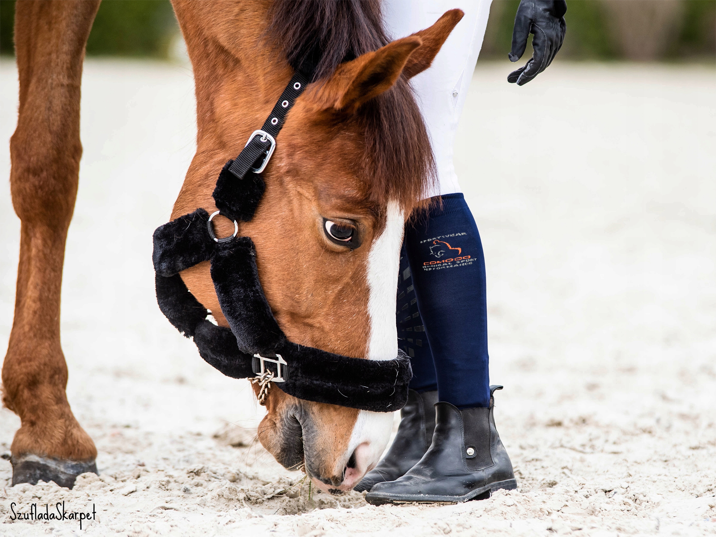 Podkolanówki jeździeckie z mikrofibry czarne konie EAN (GTIN) 5903282611931