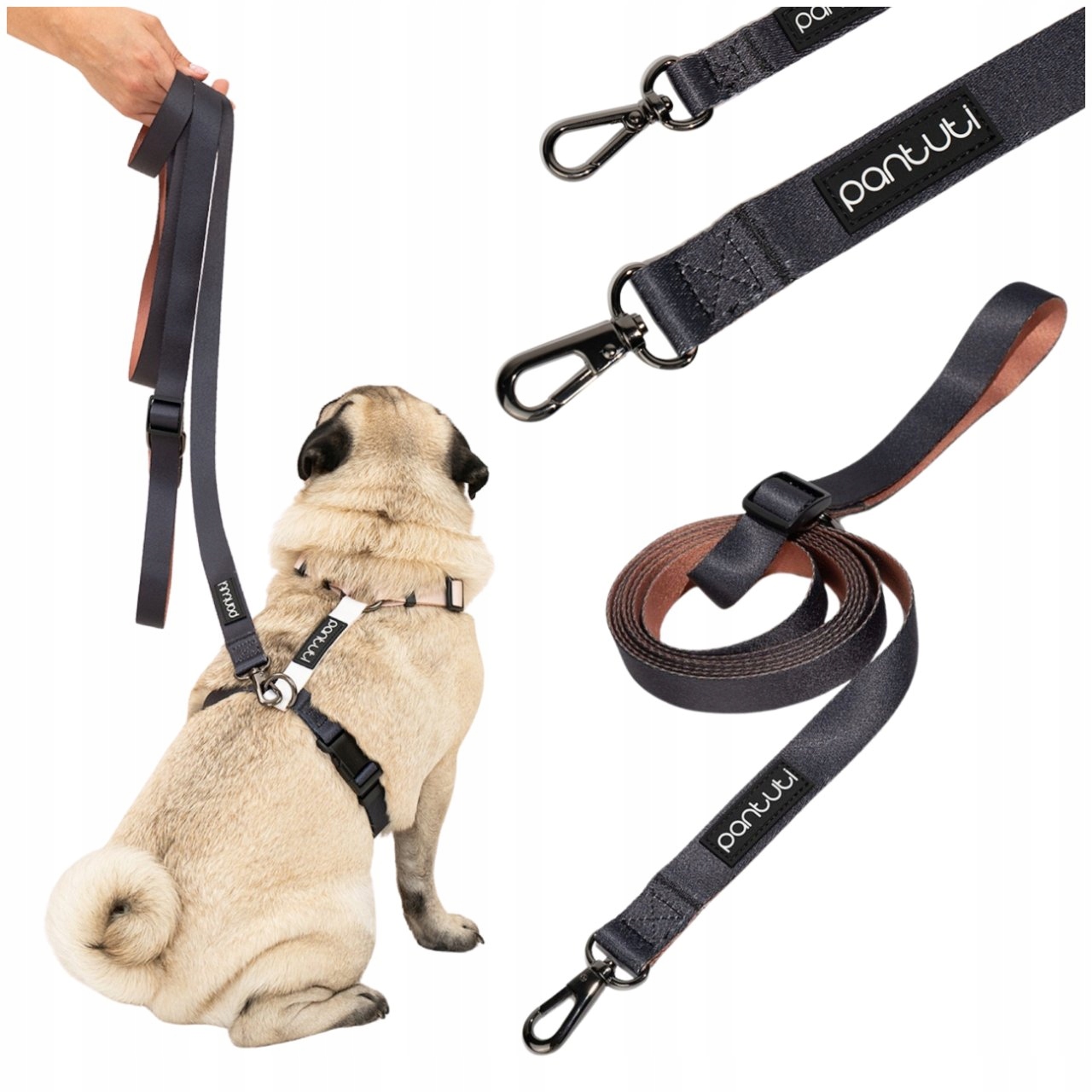Vodítko Pro Psa Vodítko Nastavitelná Pro Psa Přepínací 3M Černá Hnědá Frappe M