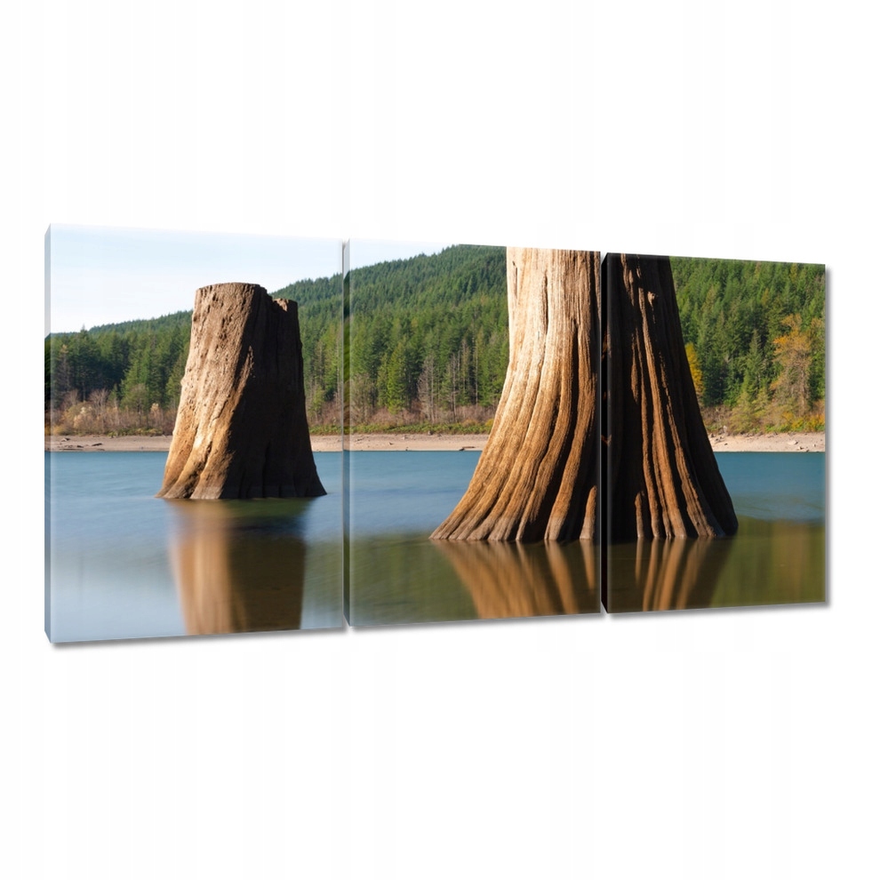 

Obrazy 120x60 Pnie w rzece Góry