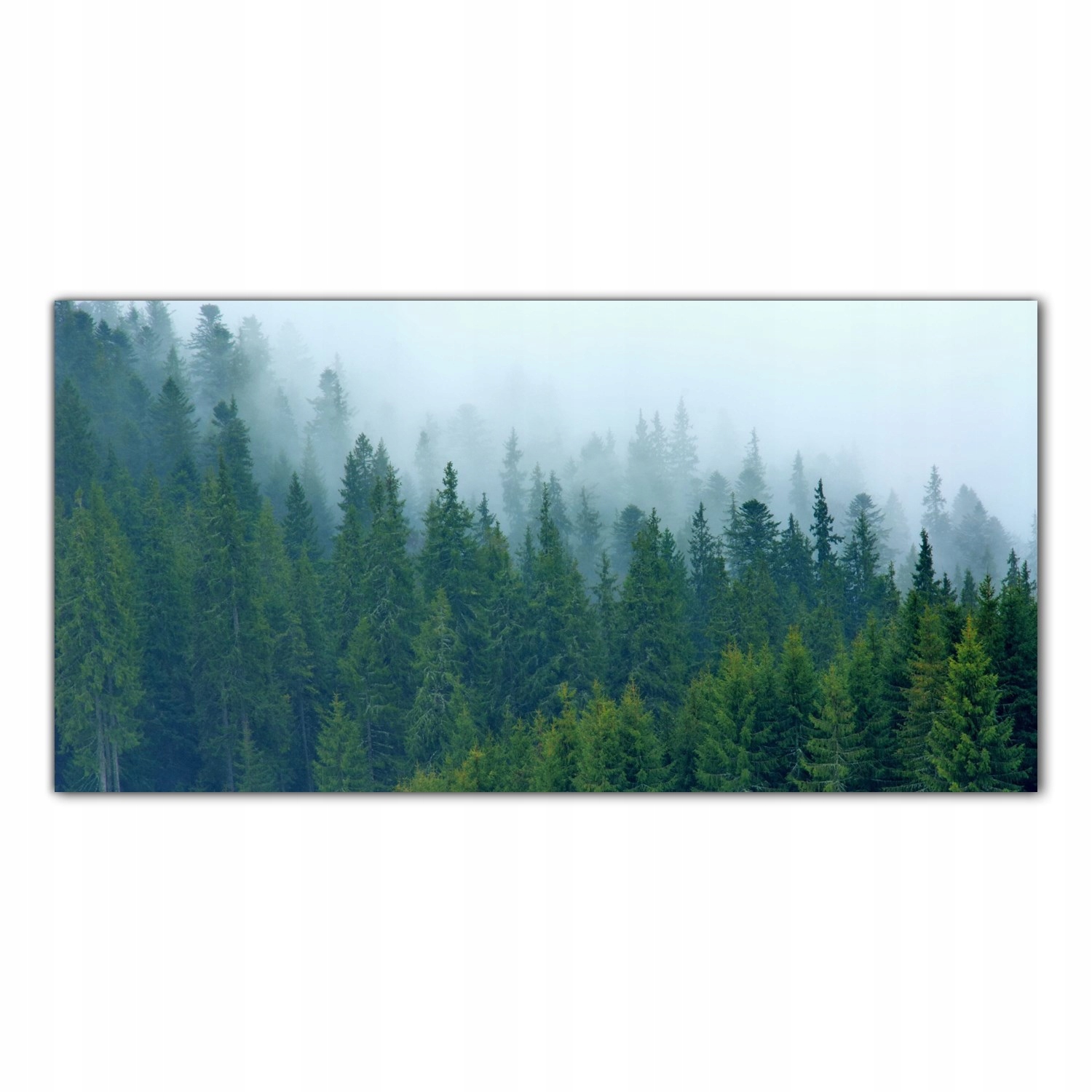 Hory Stromy Mlha 100x50 Tvrzené skleněné panely